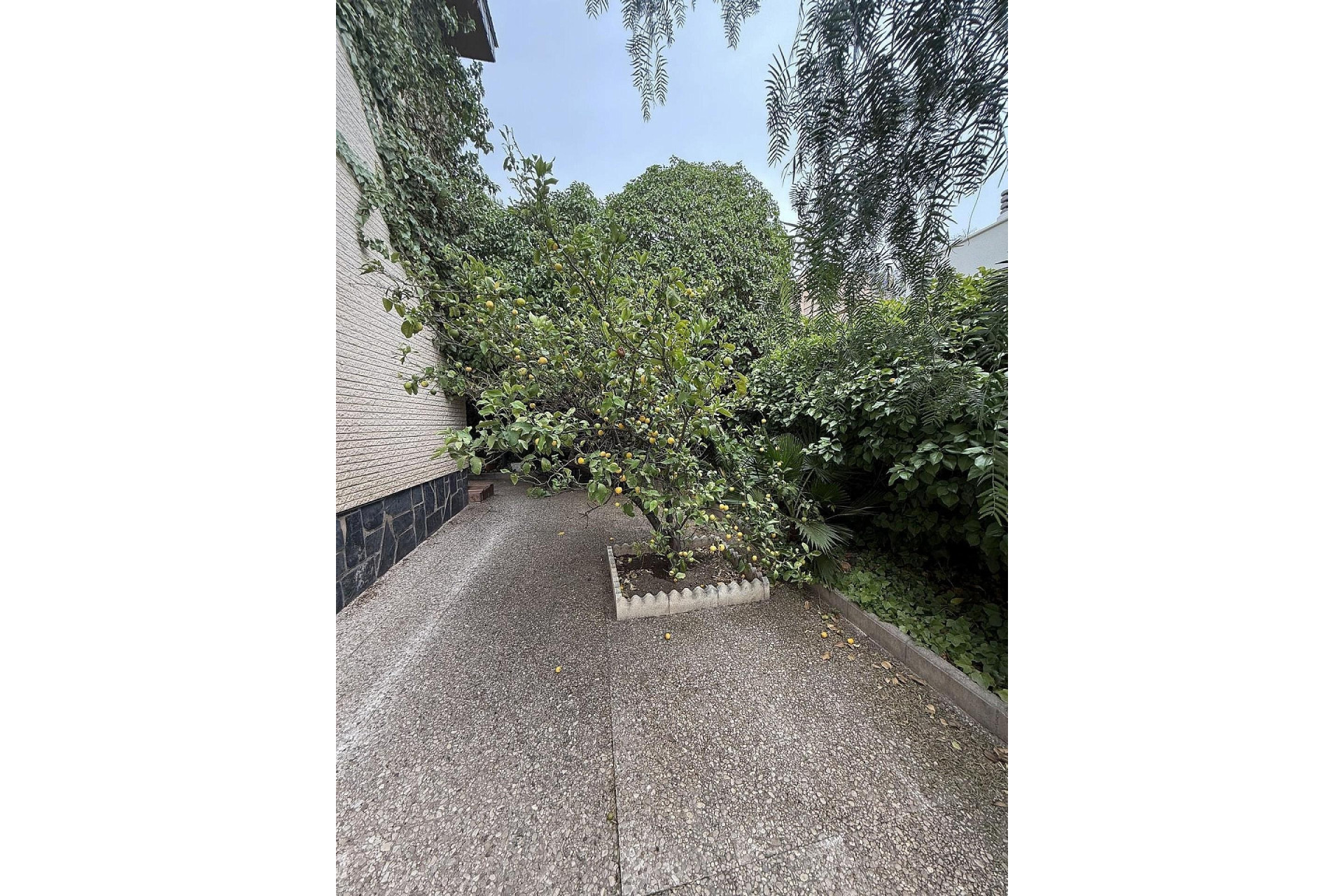 Resale - Villa -
Elda