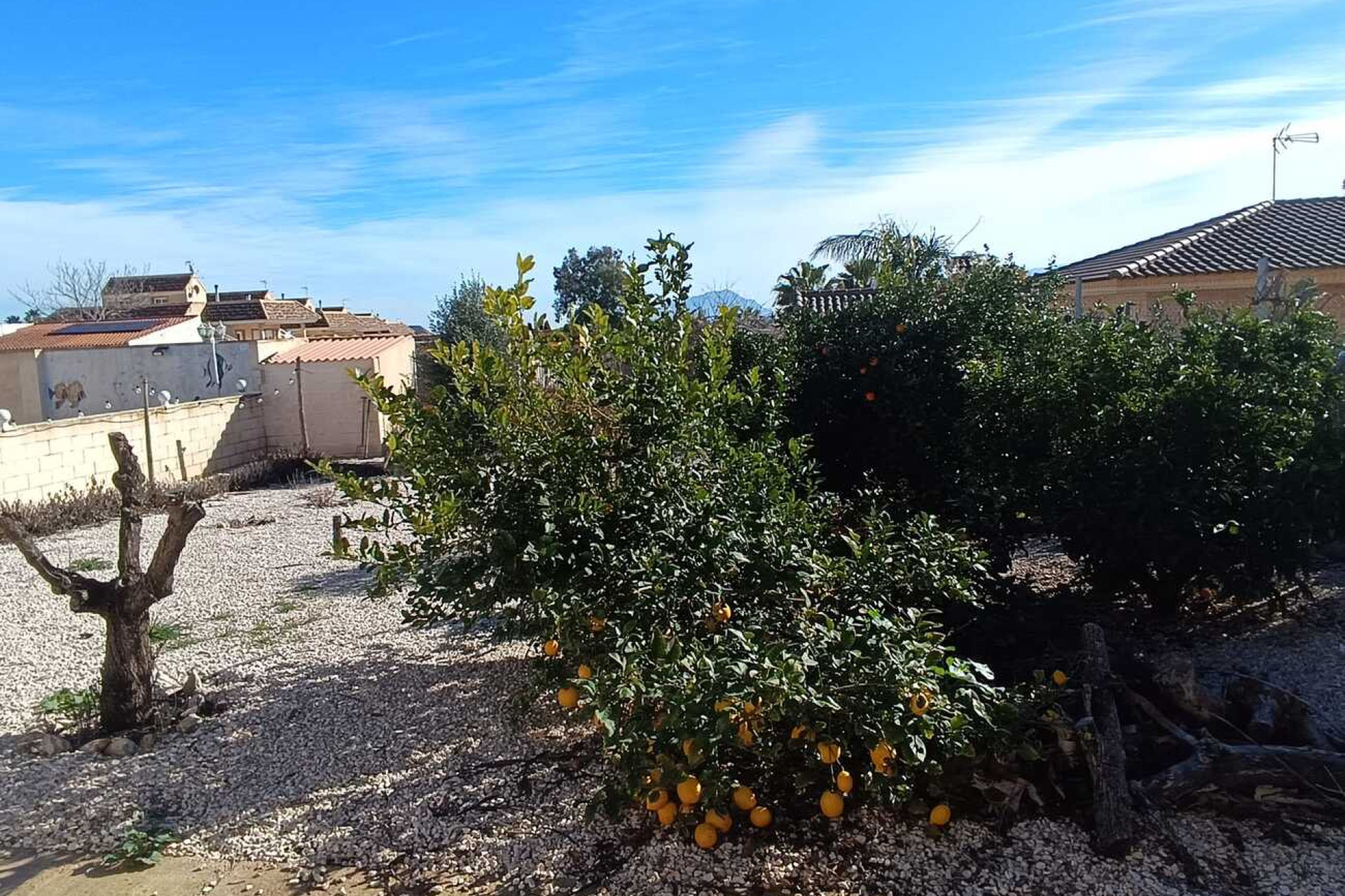 Resale - Villa -
Fortuna - El Reloj