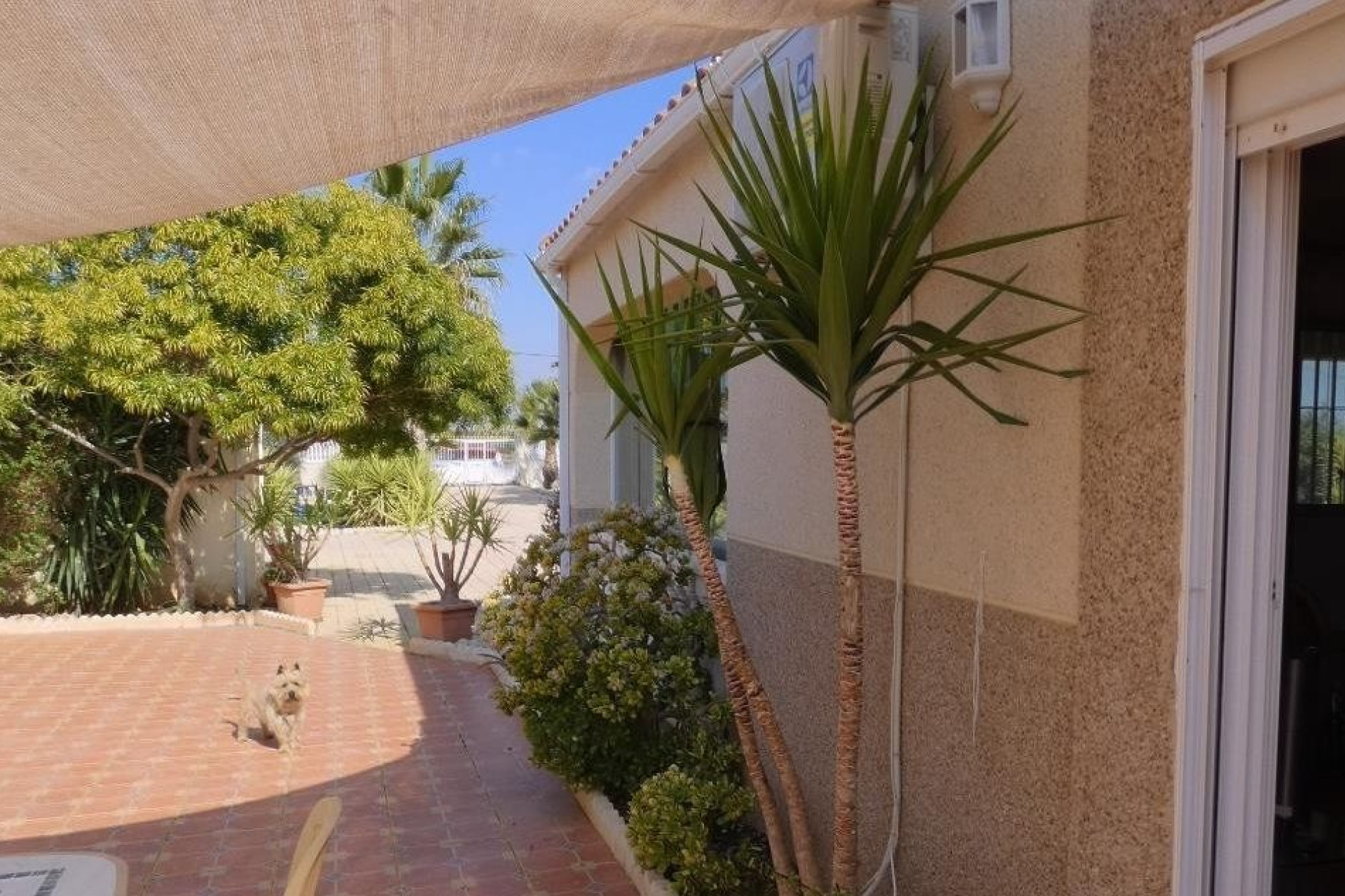 Resale - Villa -
Fortuna - FORTUNA