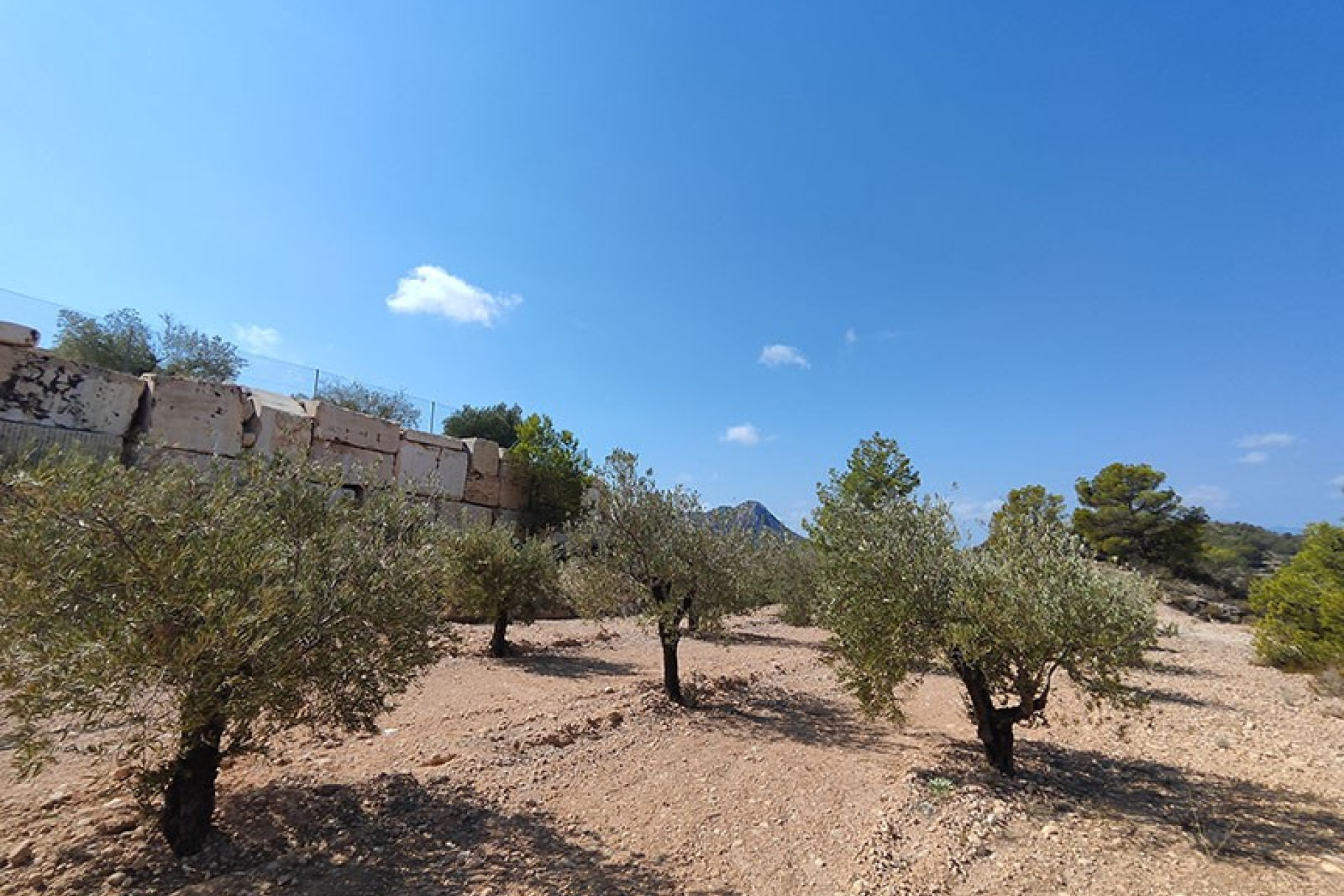 Resale - Villa -
Fortuna - Las Casicas