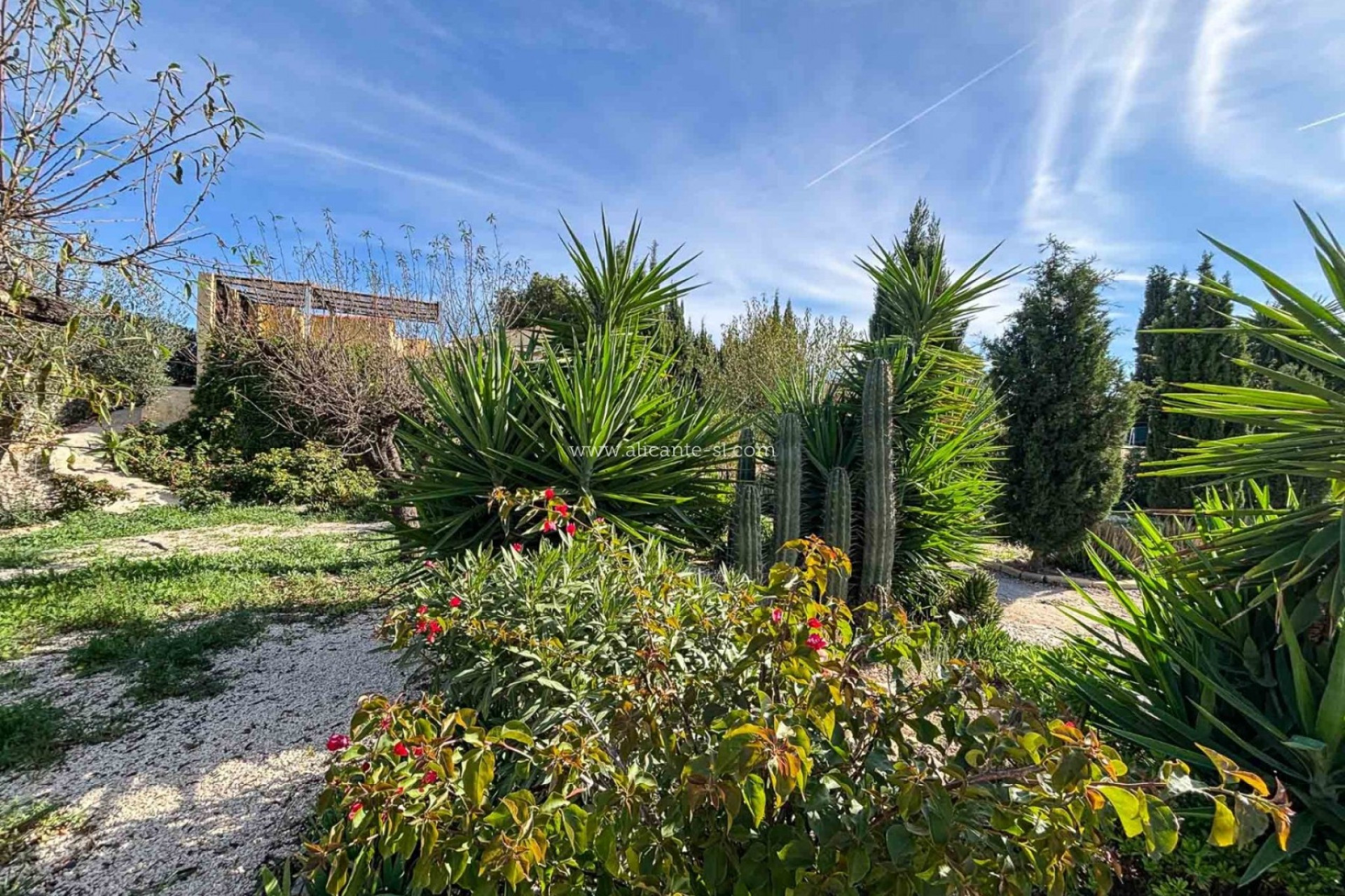 Resale - Villa -
Hondón de las Nieves - HONDON DE LAS NIEVES