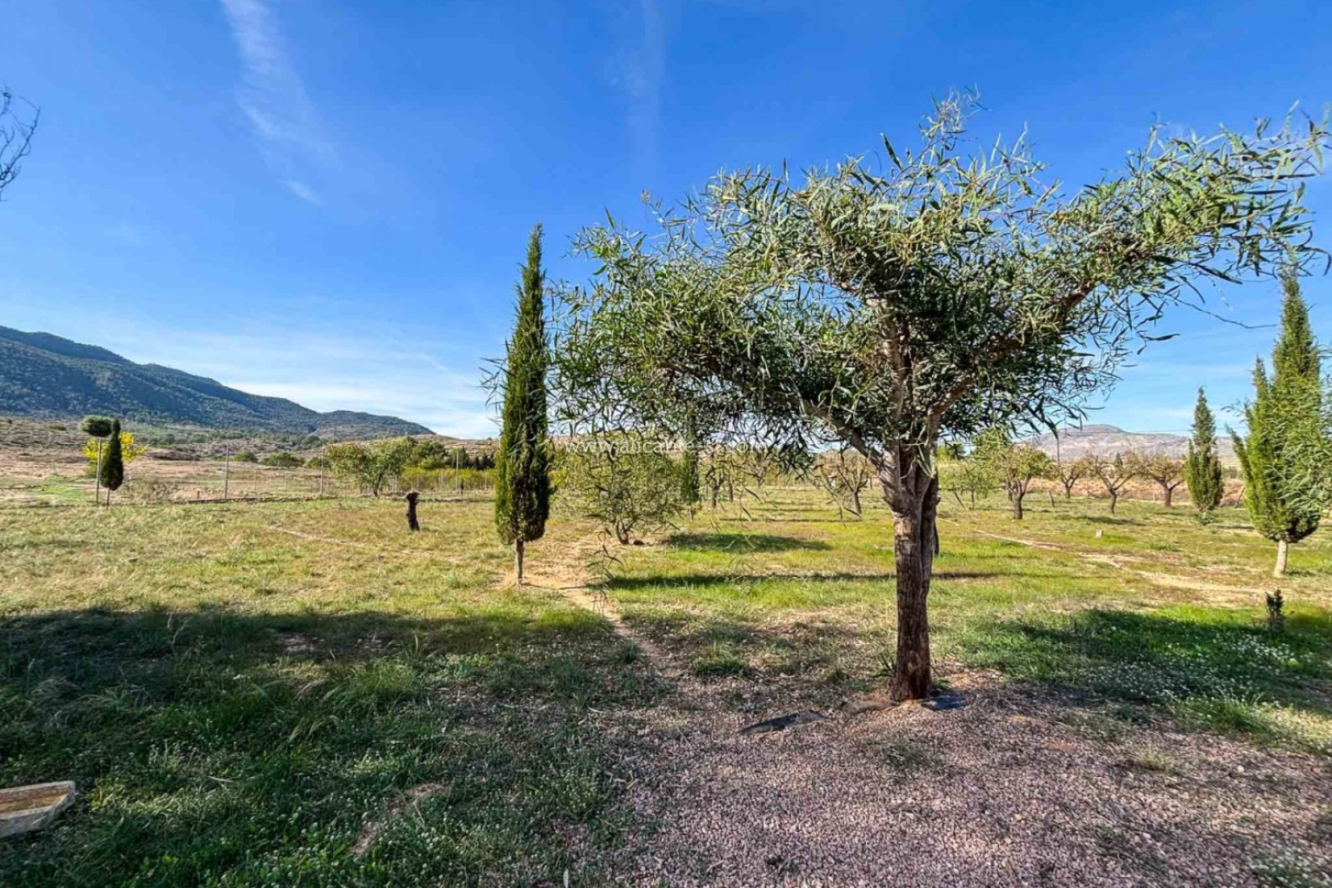 Resale - Villa -
Hondón de las Nieves - HONDON DE LAS NIEVES