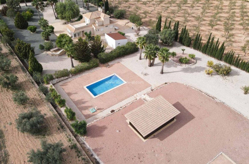 Resale - Villa -
Hondón de las Nieves - HONDON DE LAS NIEVES