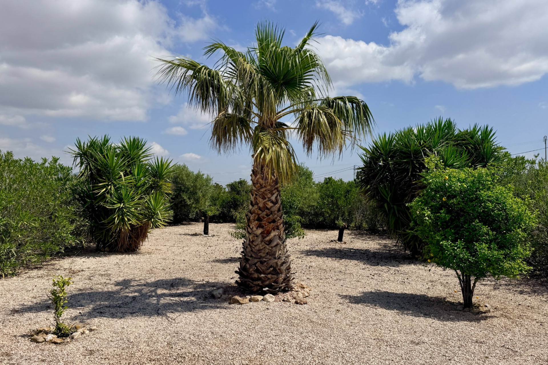 Resale - Villa -
Hondón de los Fráiles