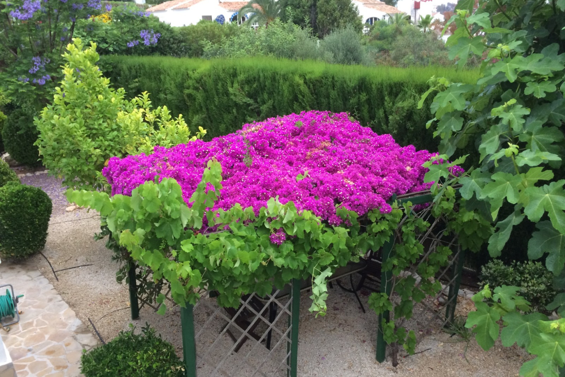 Resale - Villa -
Jávea - Cansalades