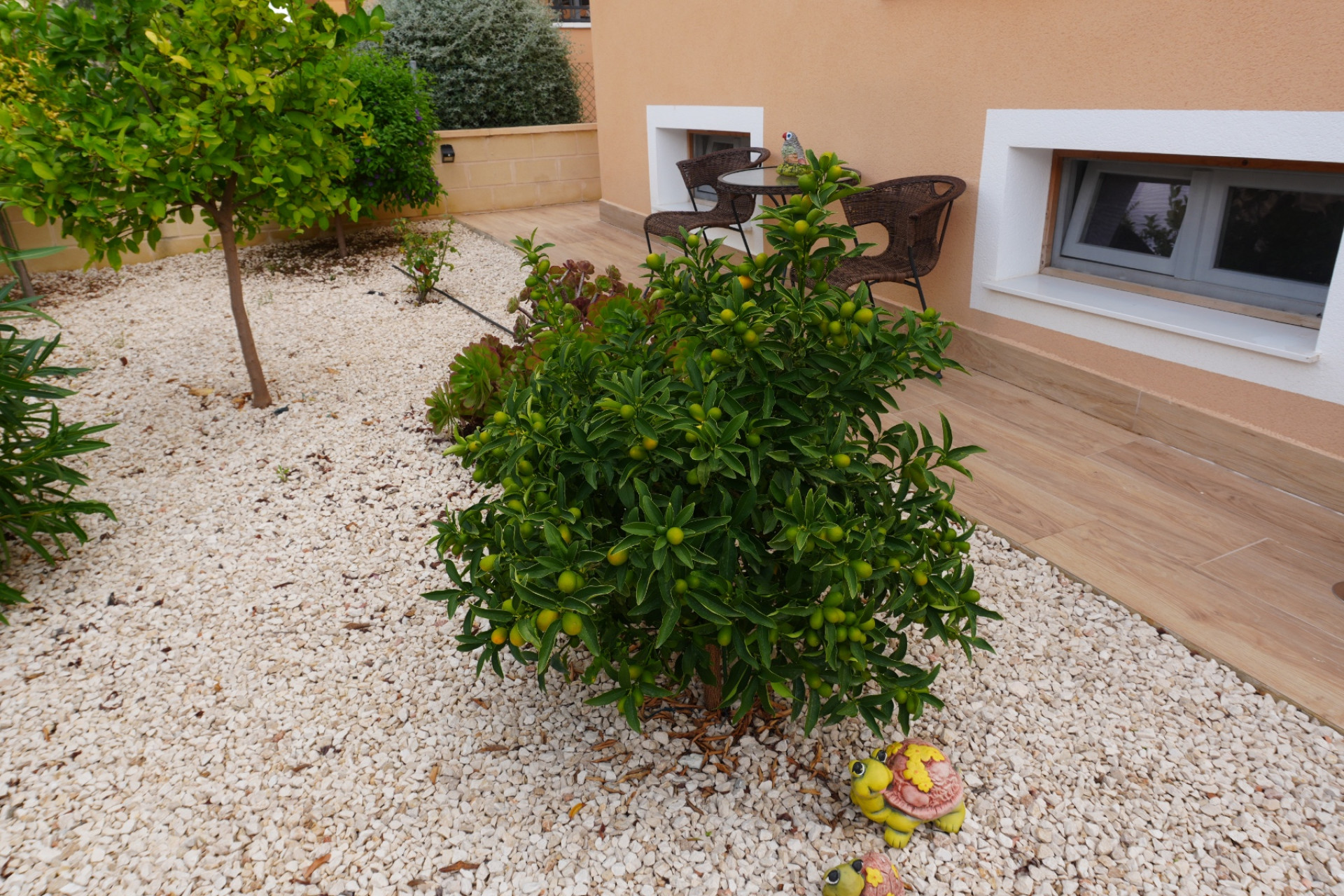 Resale - Villa -
La Romana - Inland