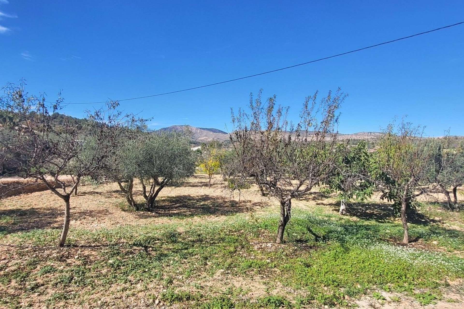 Resale - Villa -
La Romana