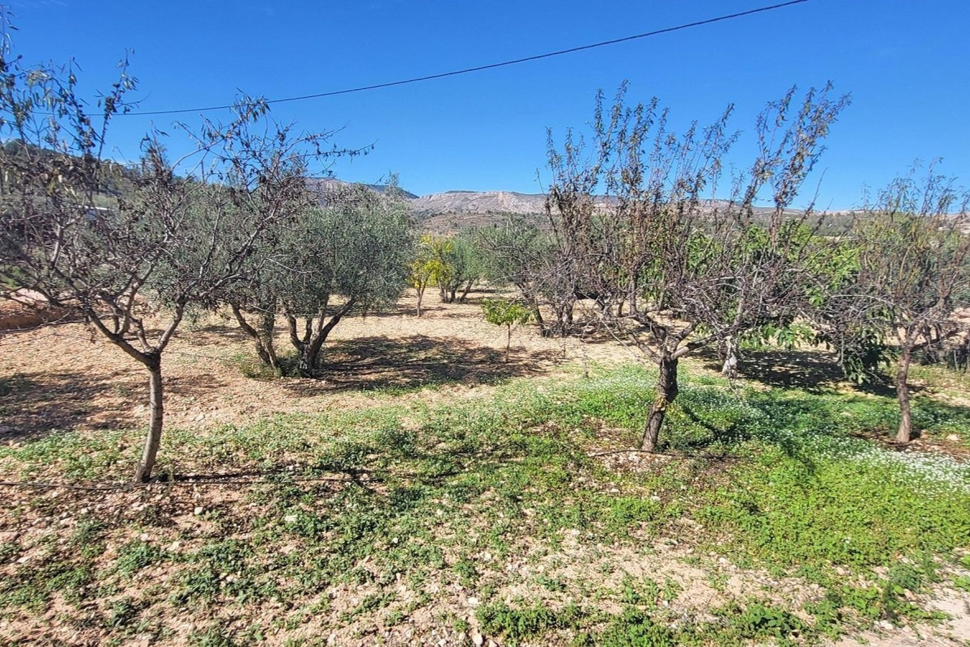 Resale - Villa -
La Romana