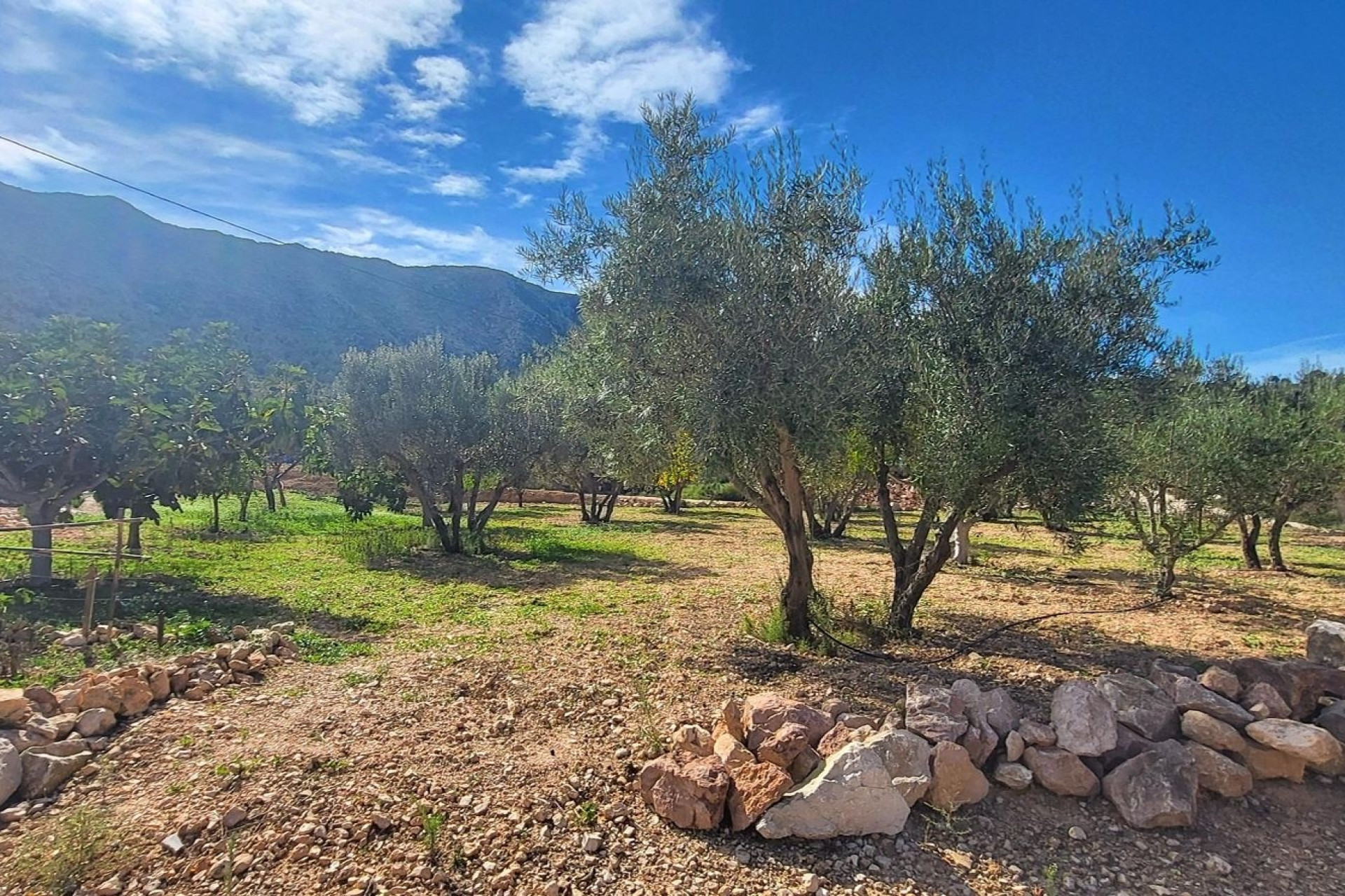 Resale - Villa -
La Romana