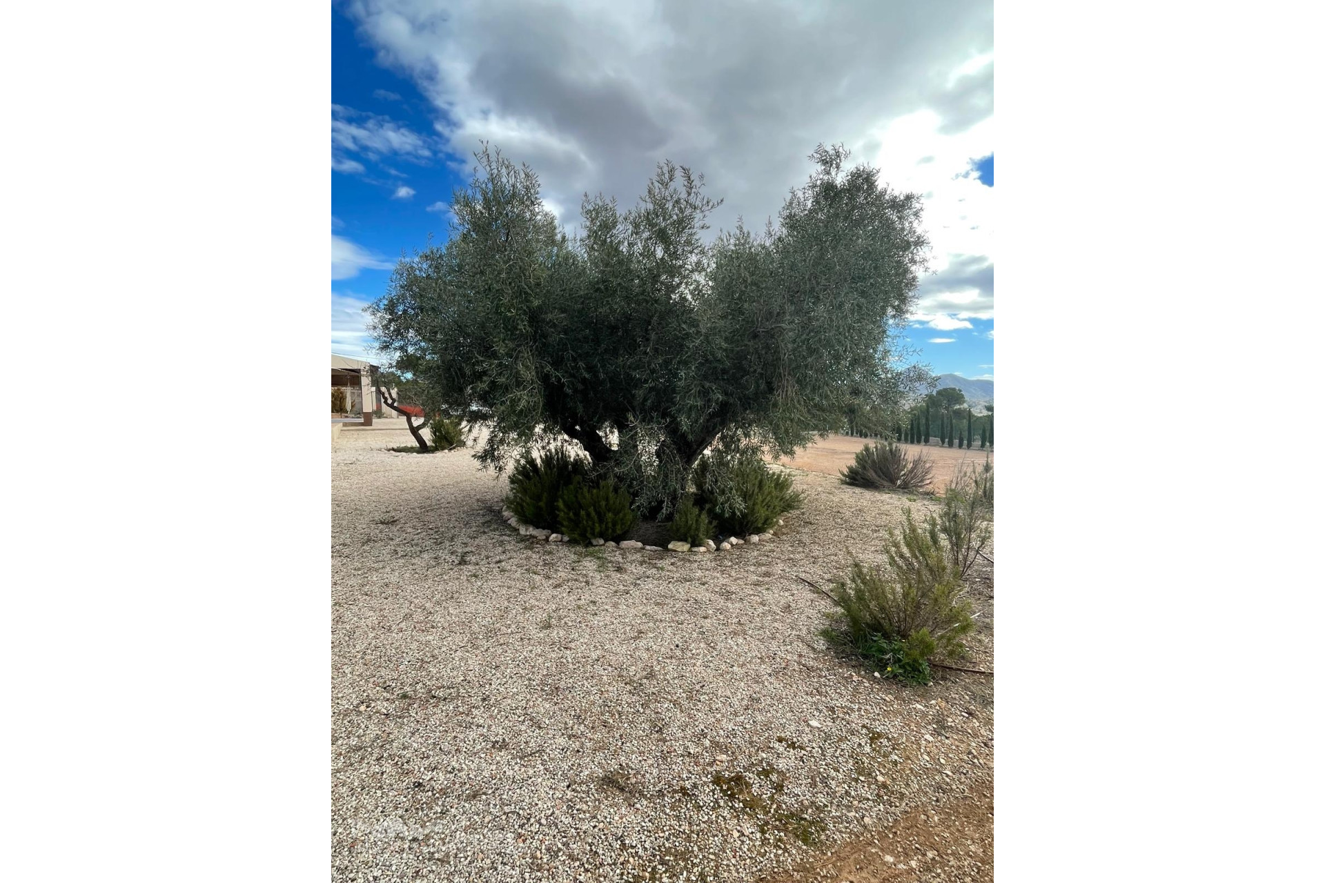 Resale - Villa -
Macisvenda - Macisvenda Murcia