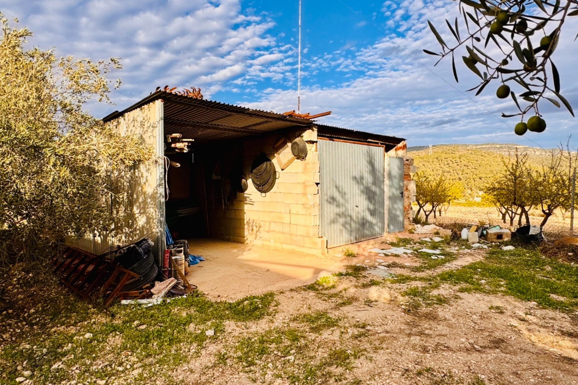 Resale - Villa -
Monóvar - Monovar