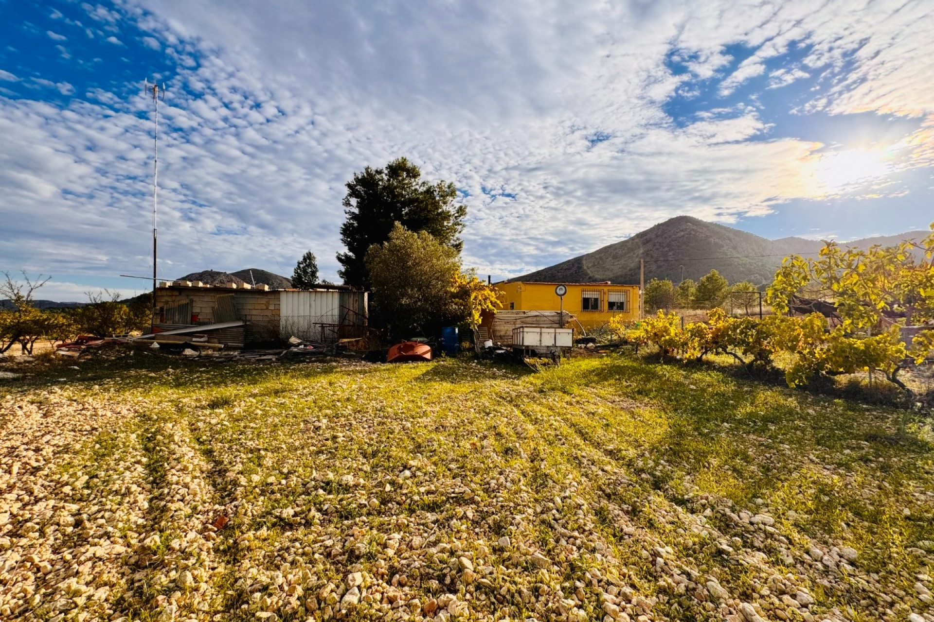 Resale - Villa -
Monóvar - Monovar