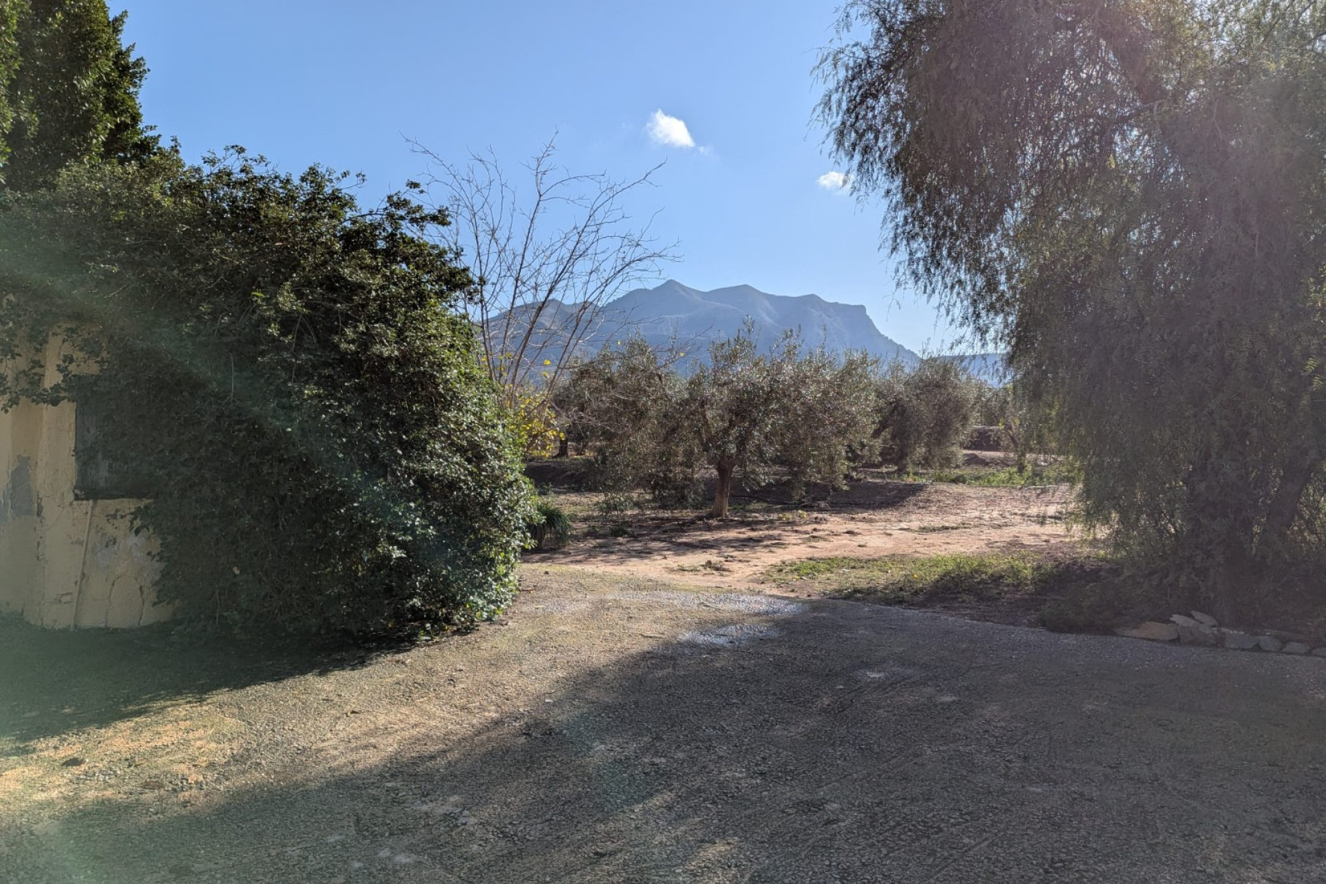 Resale - Villa -
Orihuela