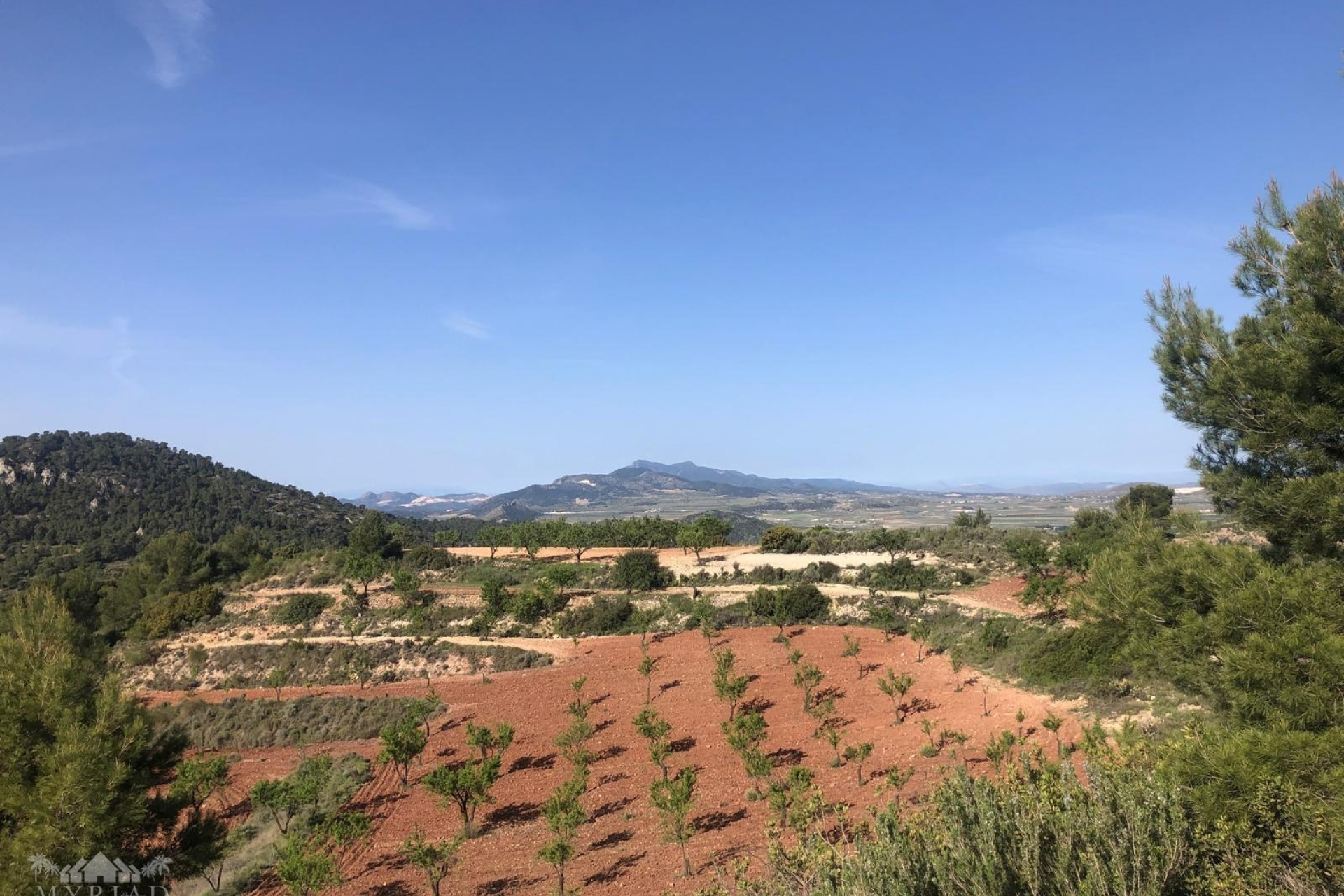 Resale - Villa -
Pinoso - Pinoso Alicante