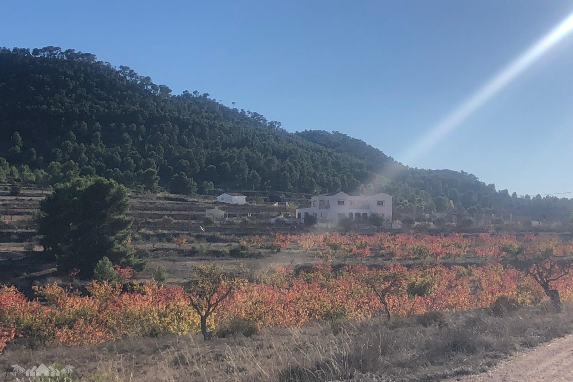 Resale - Villa -
Pinoso - Pinoso Alicante