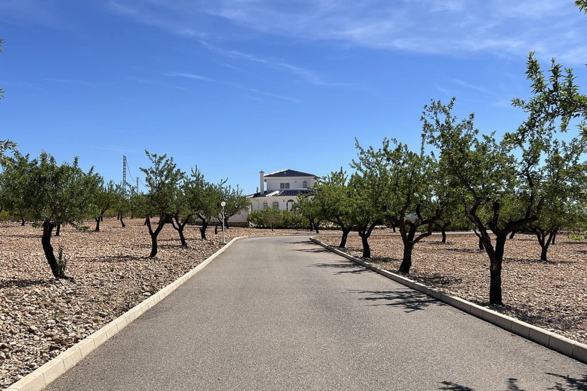 Resale - Villa -
Pinoso