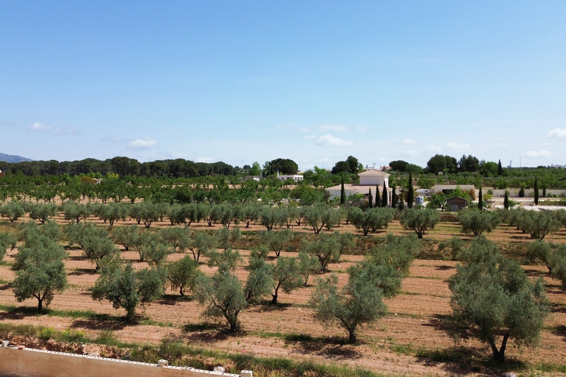 Resale - Villa -
Pinoso