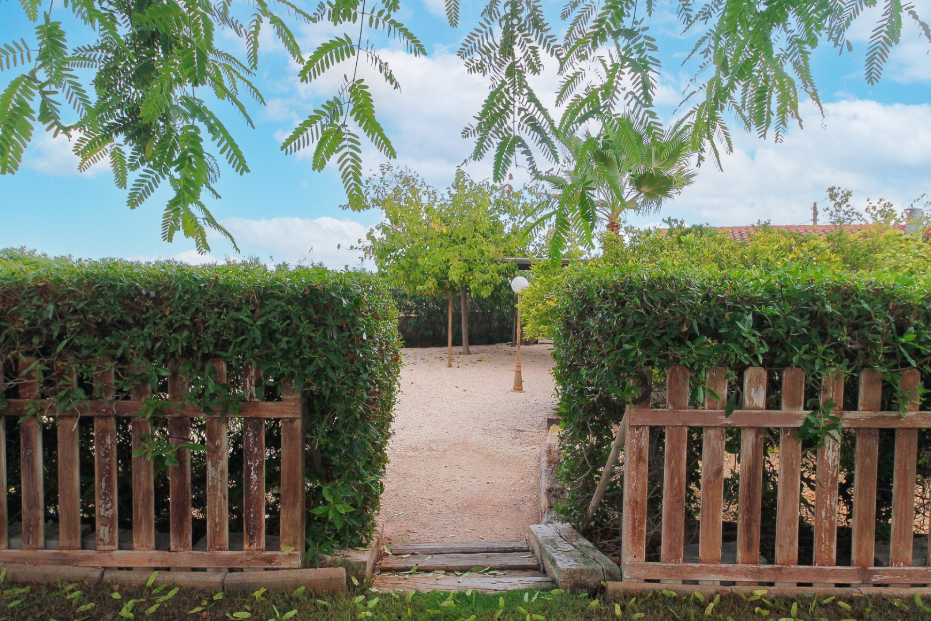 Resale - Villa -
San Vicente del Raspeig