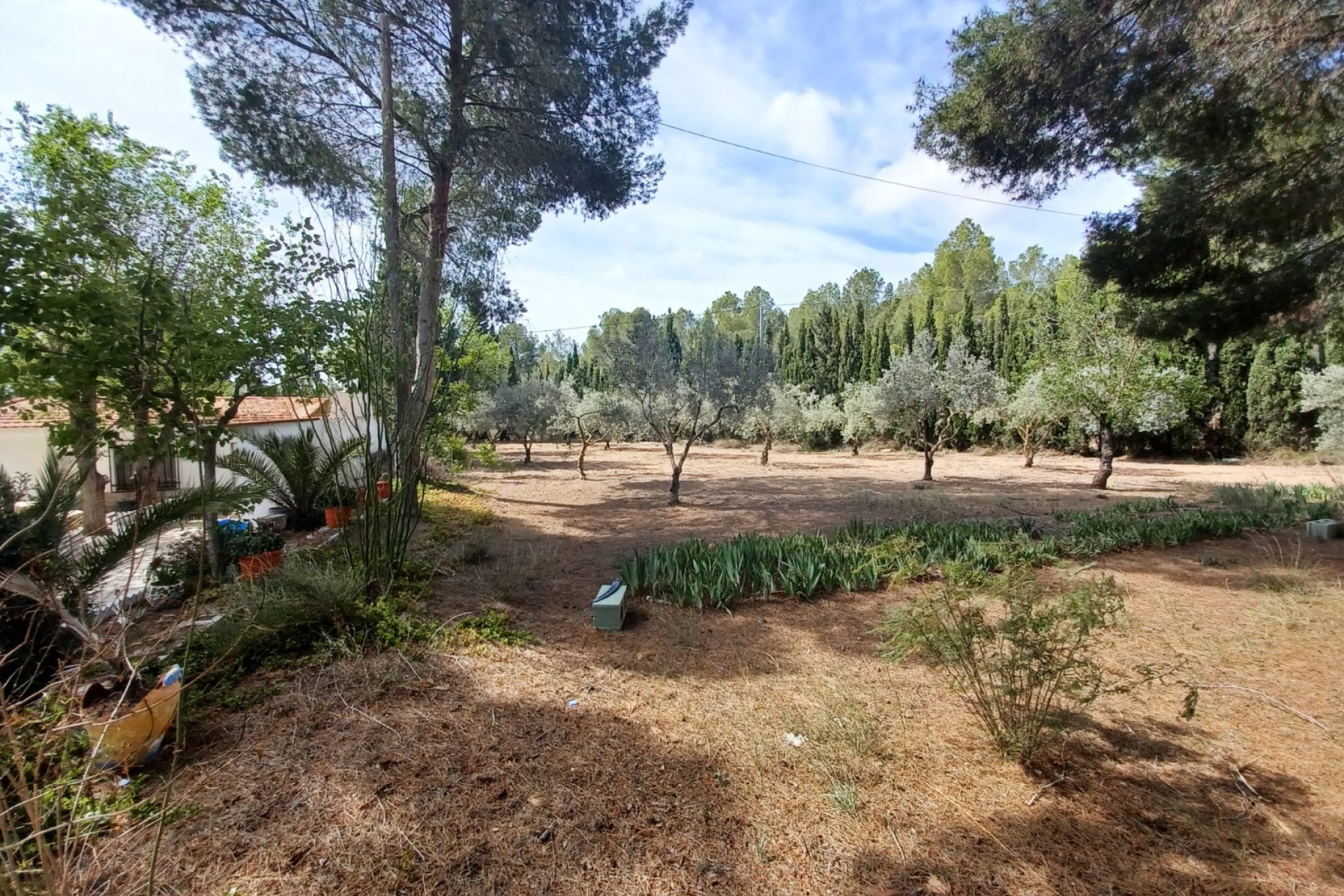 Resale - Villa -
Sax