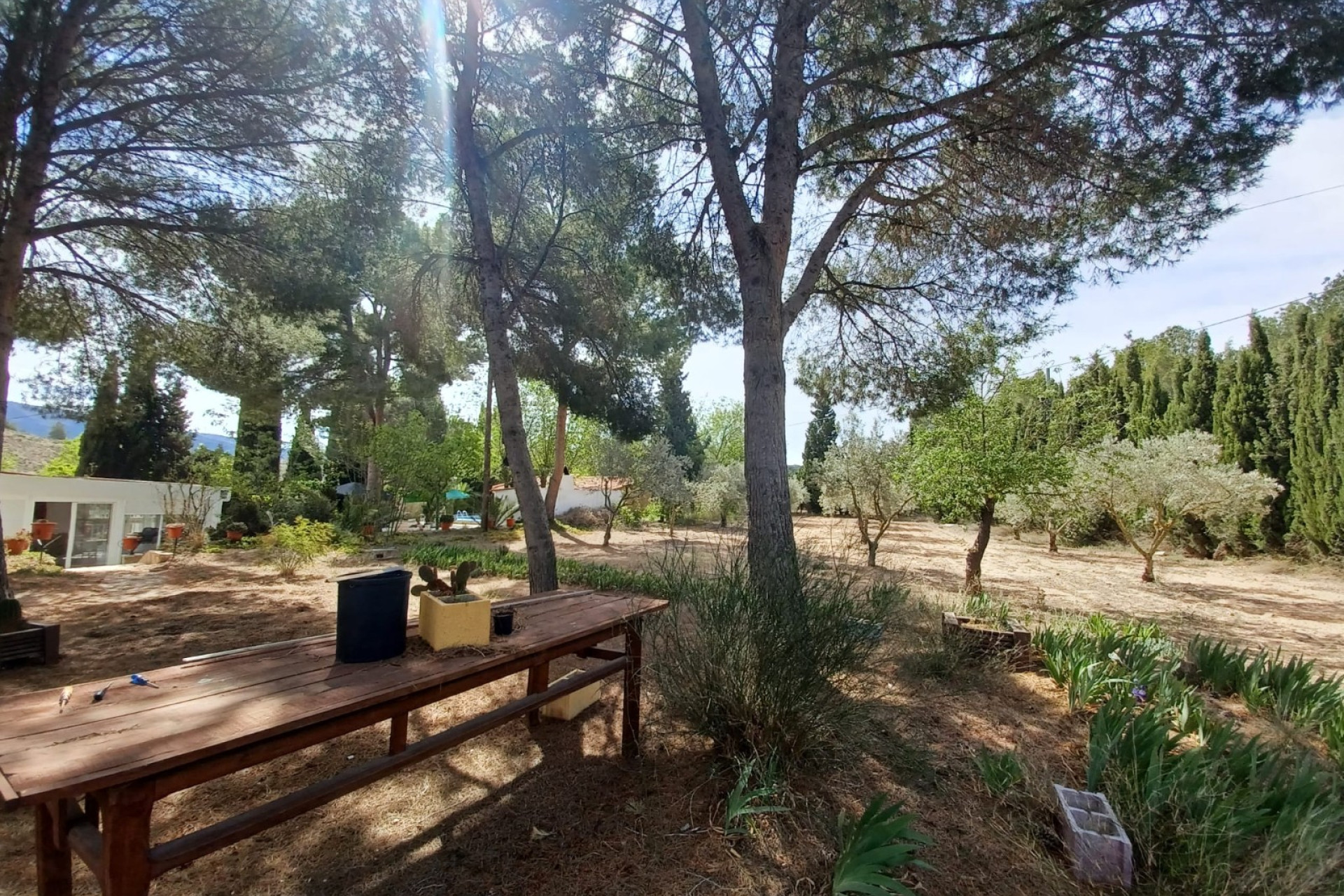 Resale - Villa -
Sax