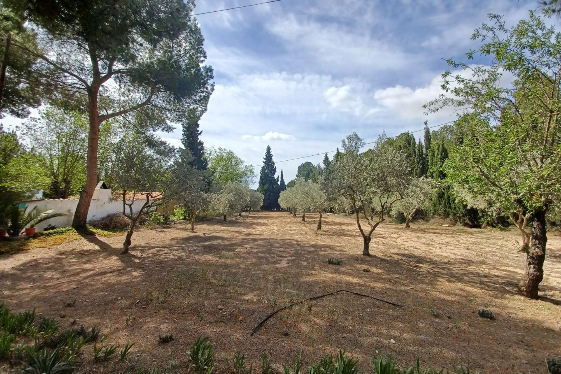 Resale - Villa -
Sax