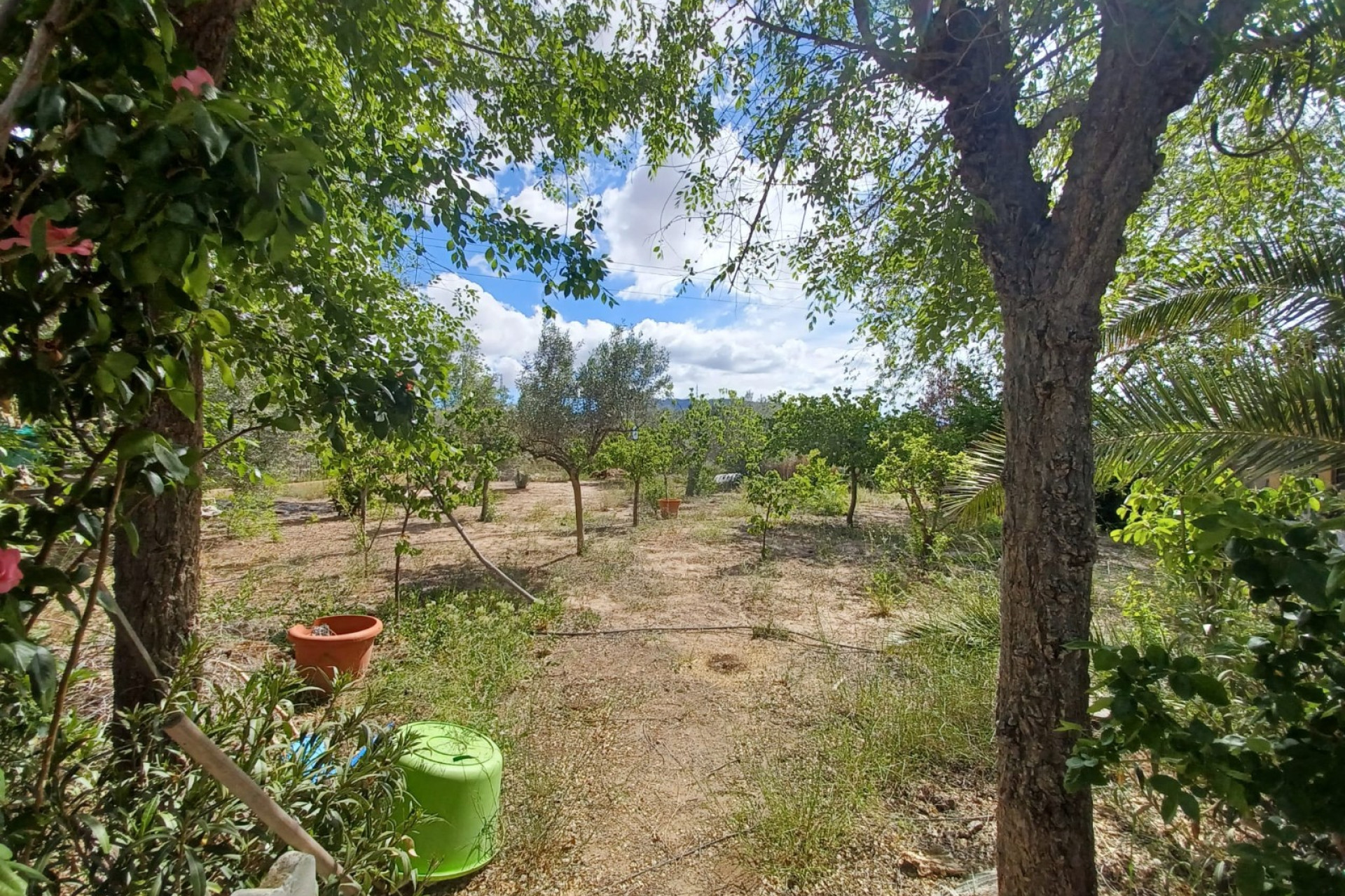 Resale - Villa -
Sax