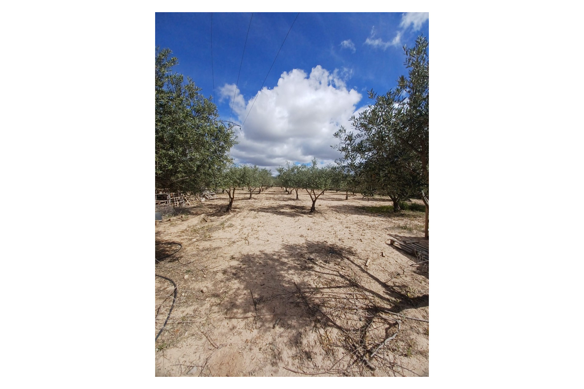 Resale - Villa -
Sax