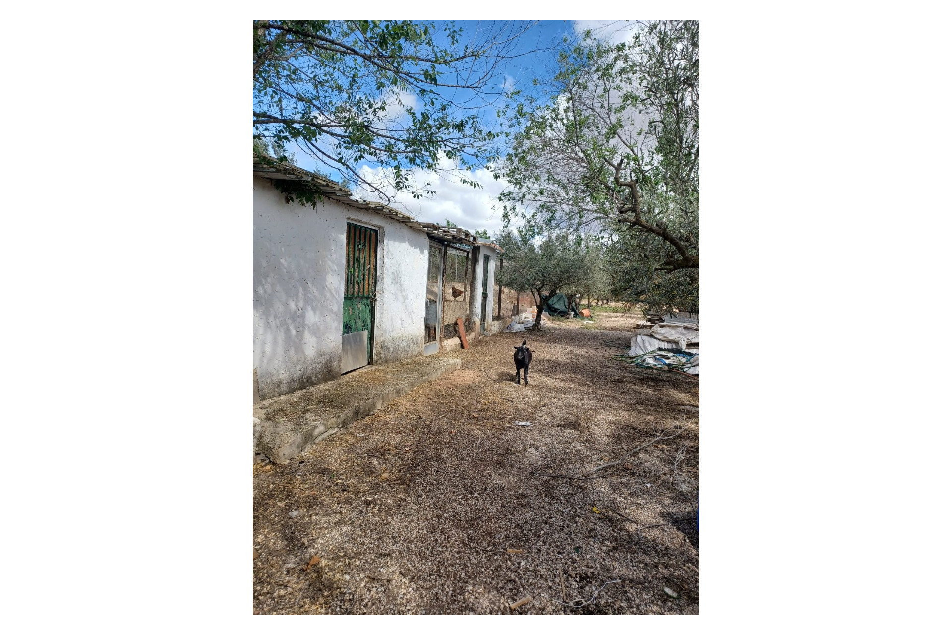 Resale - Villa -
Sax