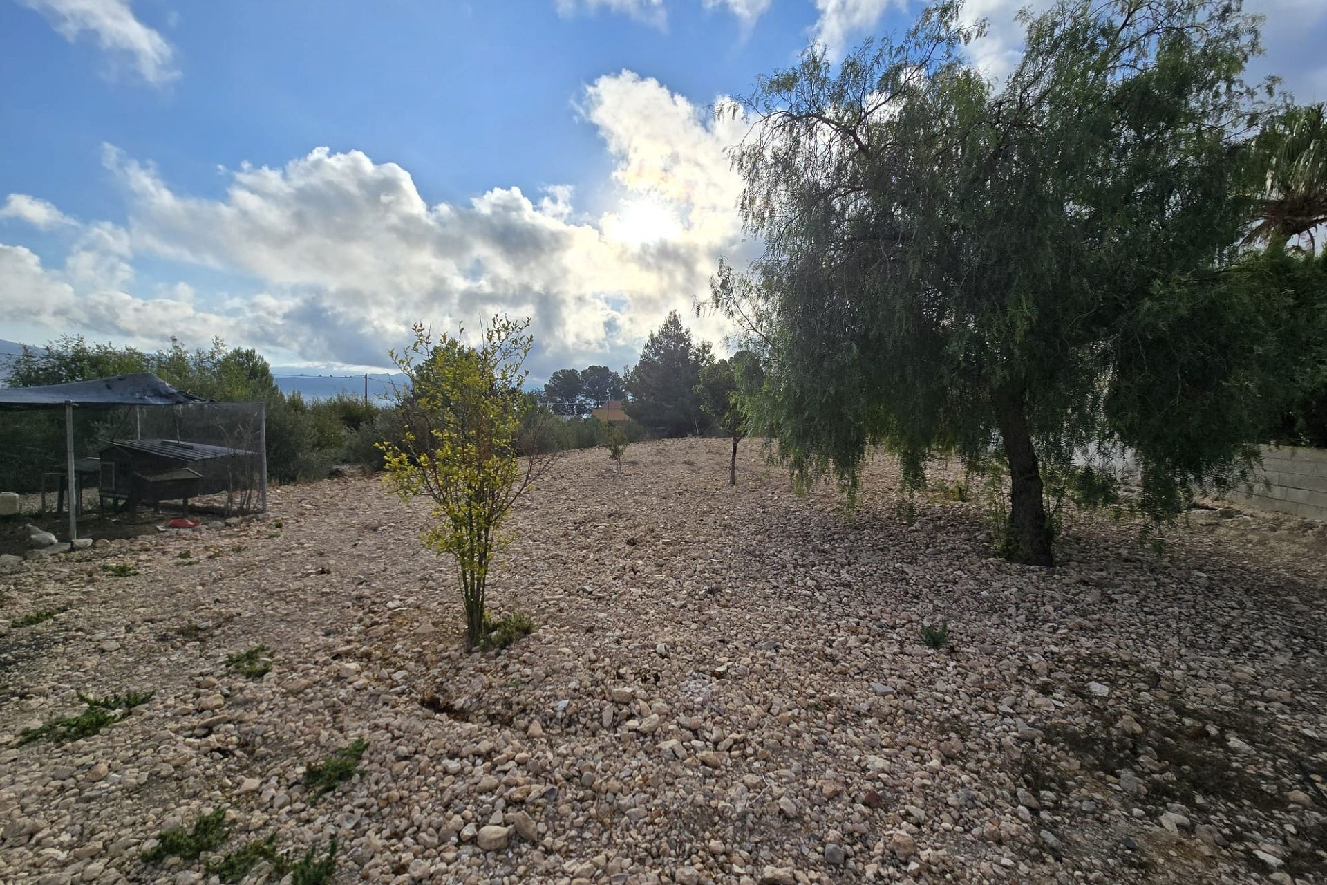 Resale - Villa -
Sax