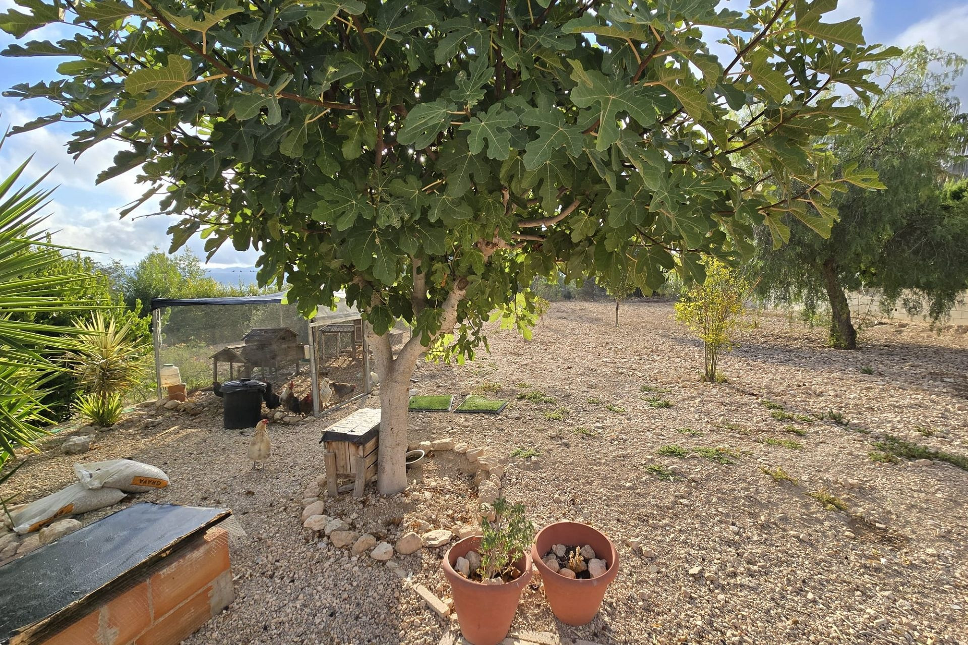 Resale - Villa -
Sax