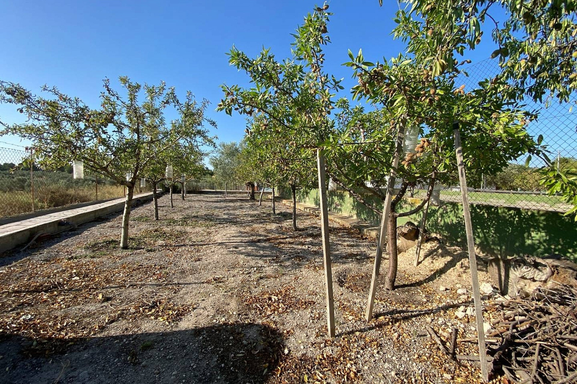 Resale - Villa -
Sax