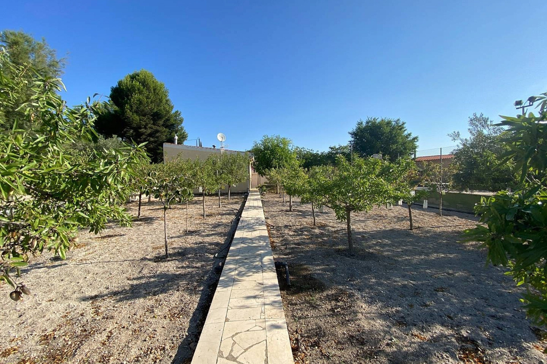 Resale - Villa -
Sax