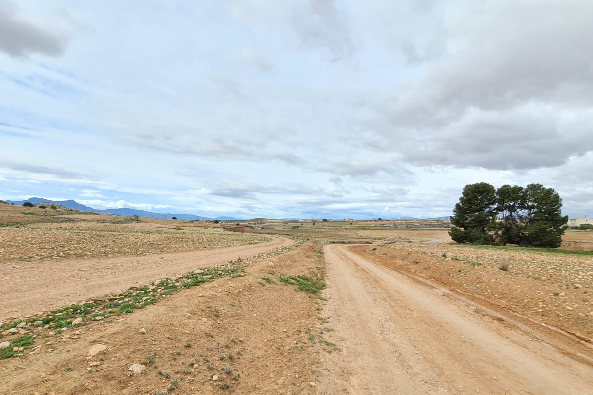 Resale - Villa -
Torre Del Rico - Inland
