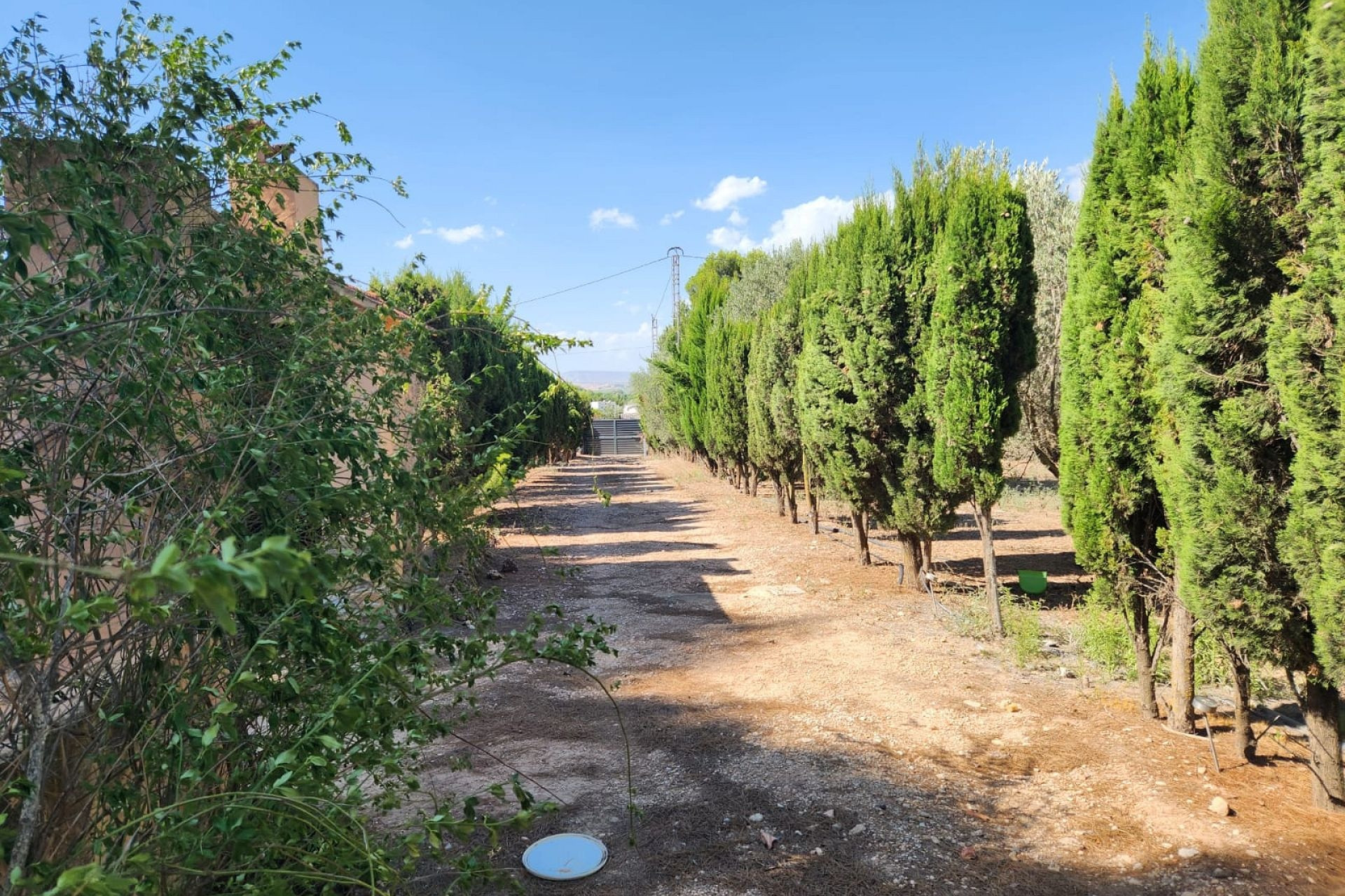 Resale - Villa -
Villena