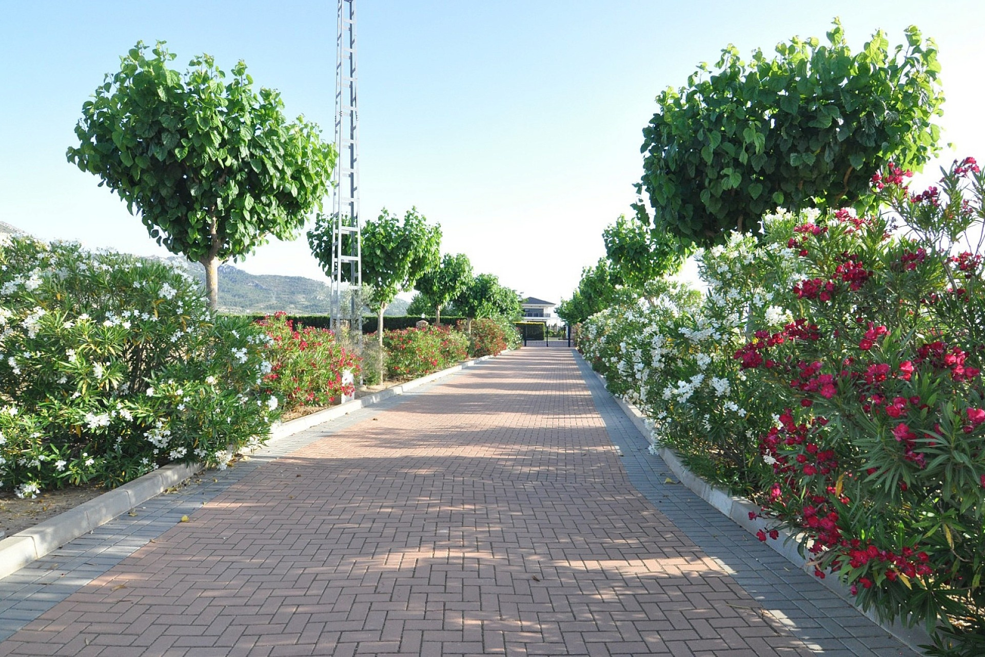 Resale - Villa -
Villena