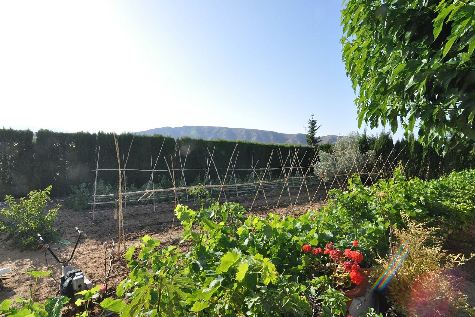 Resale - Villa -
Villena