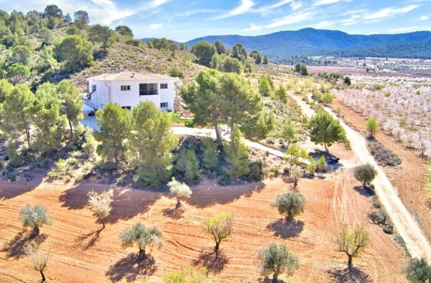 Resale - Villa -
Villena