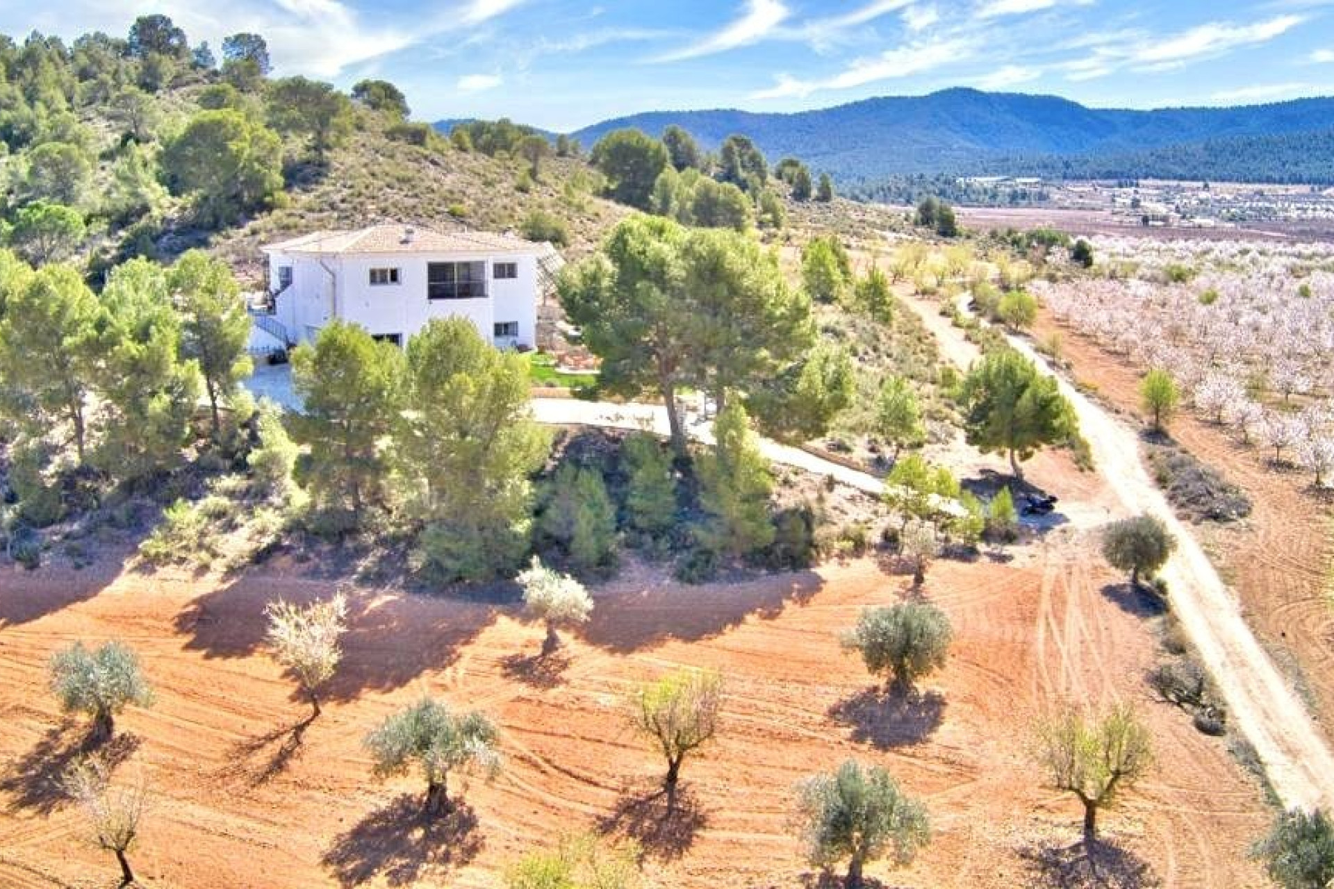 Resale - Villa -
Villena