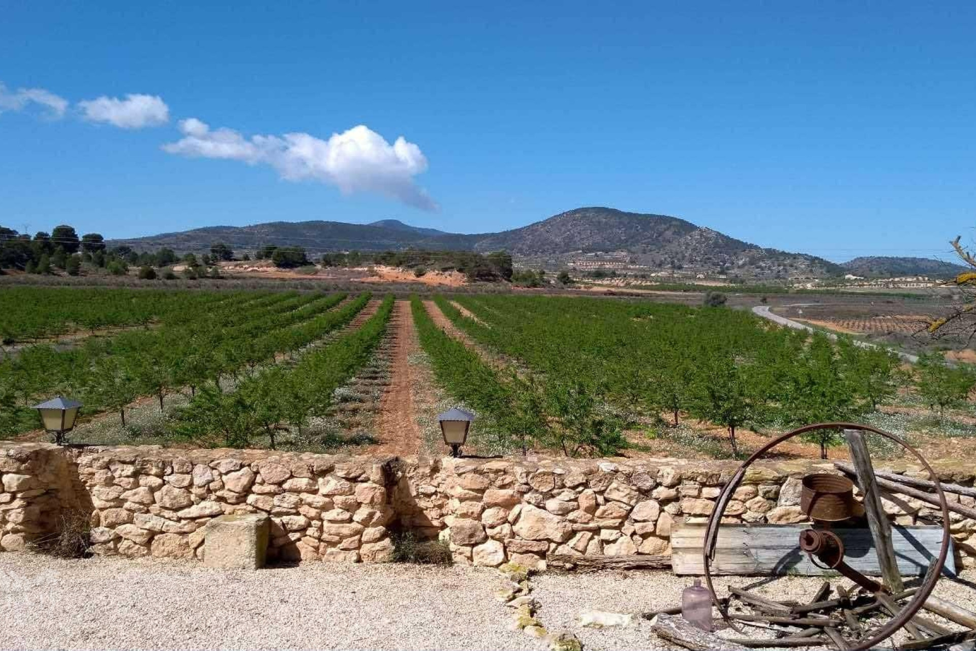 Resale - Villa -
Yecla - Yecla Murcia