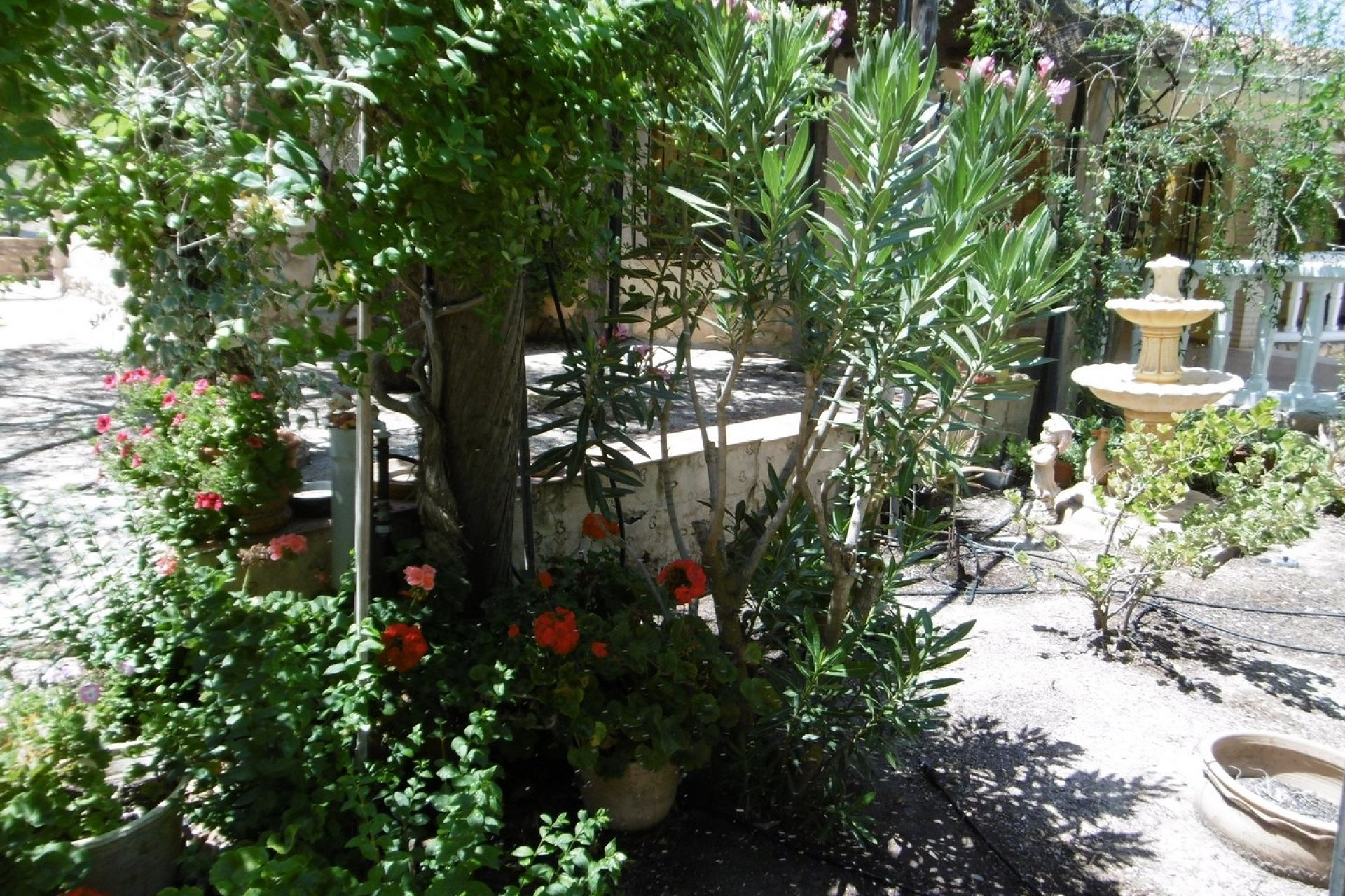 Resale - Villa -
Yecla