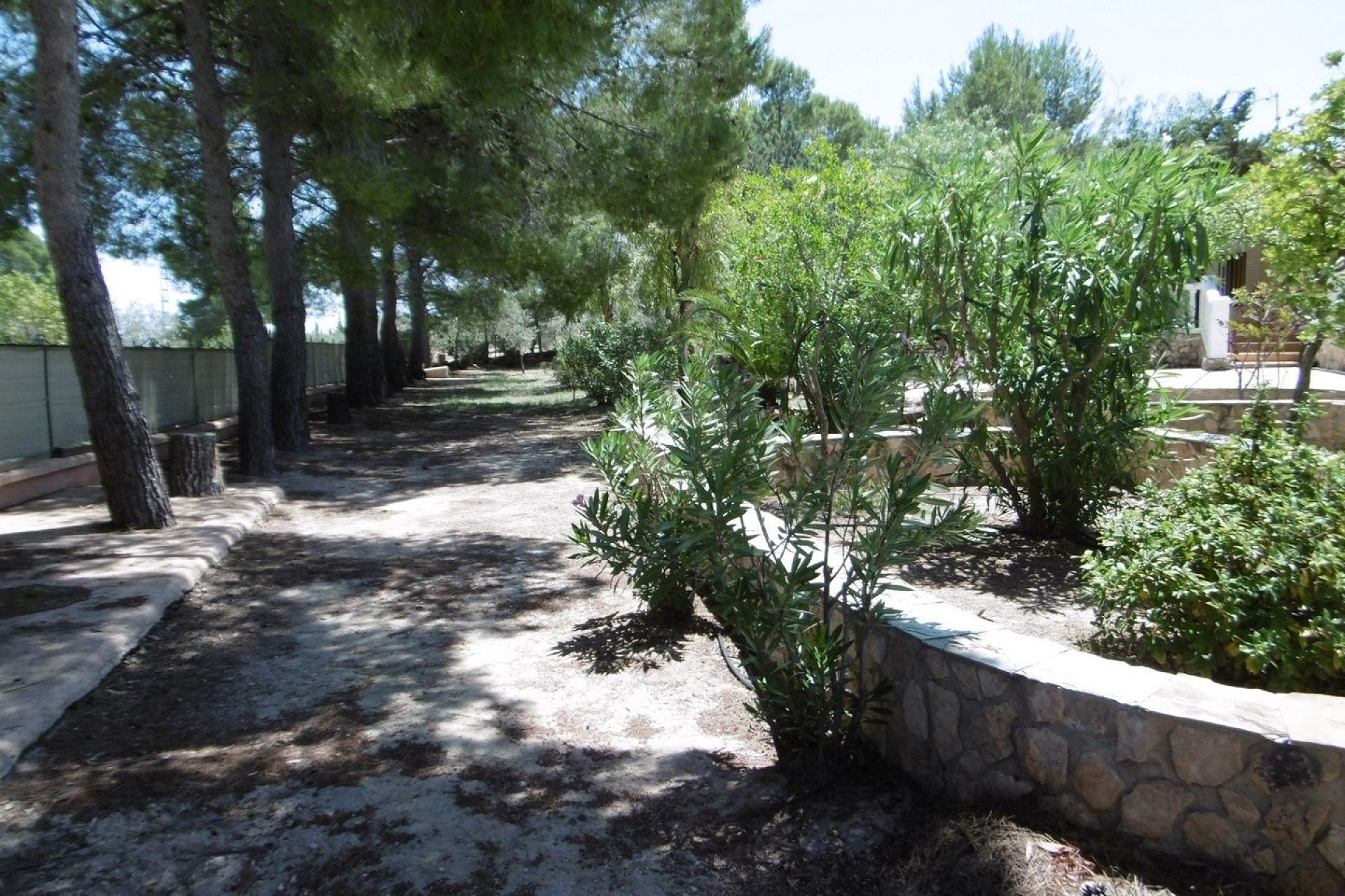 Resale - Villa -
Yecla