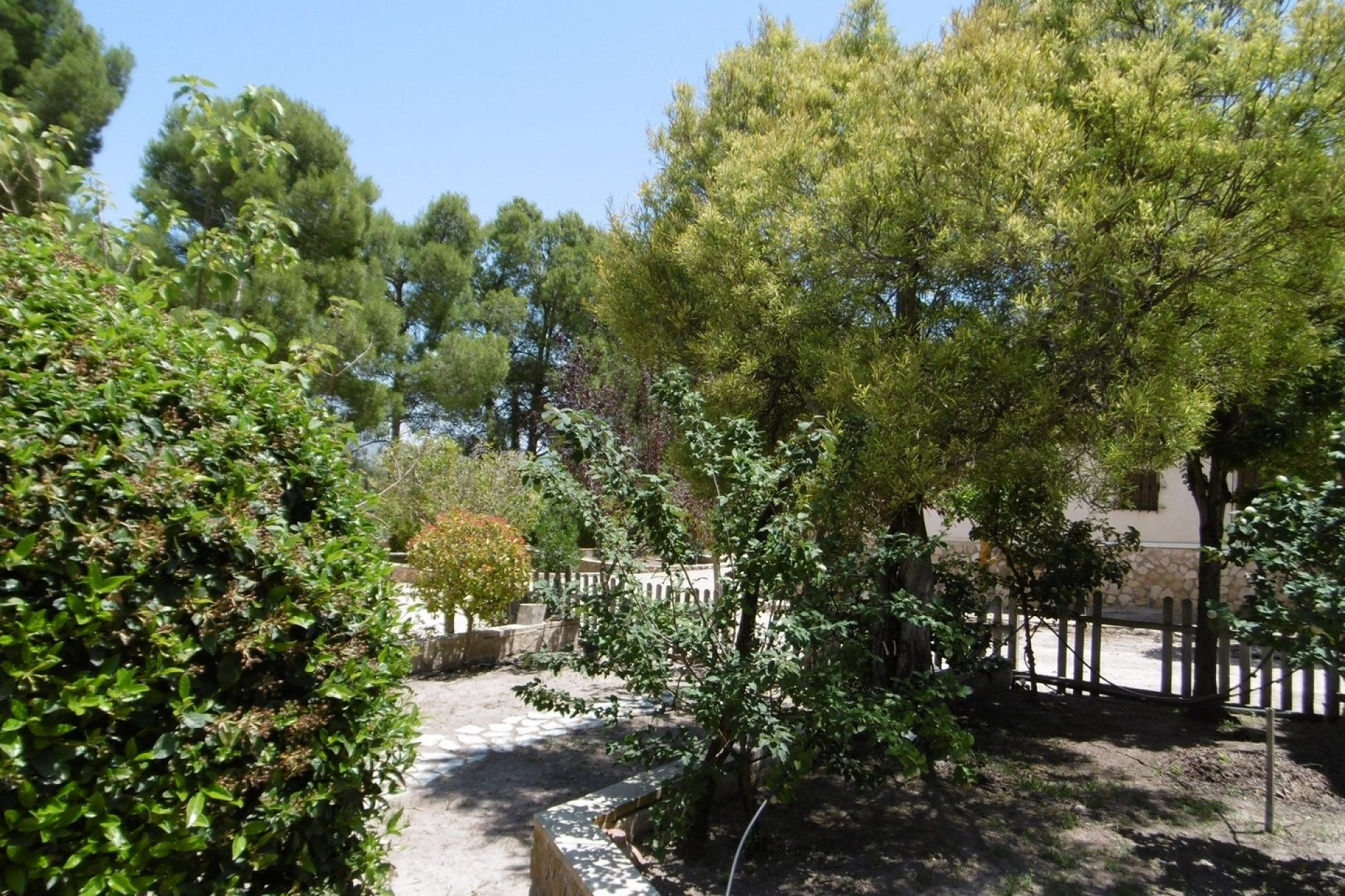 Resale - Villa -
Yecla