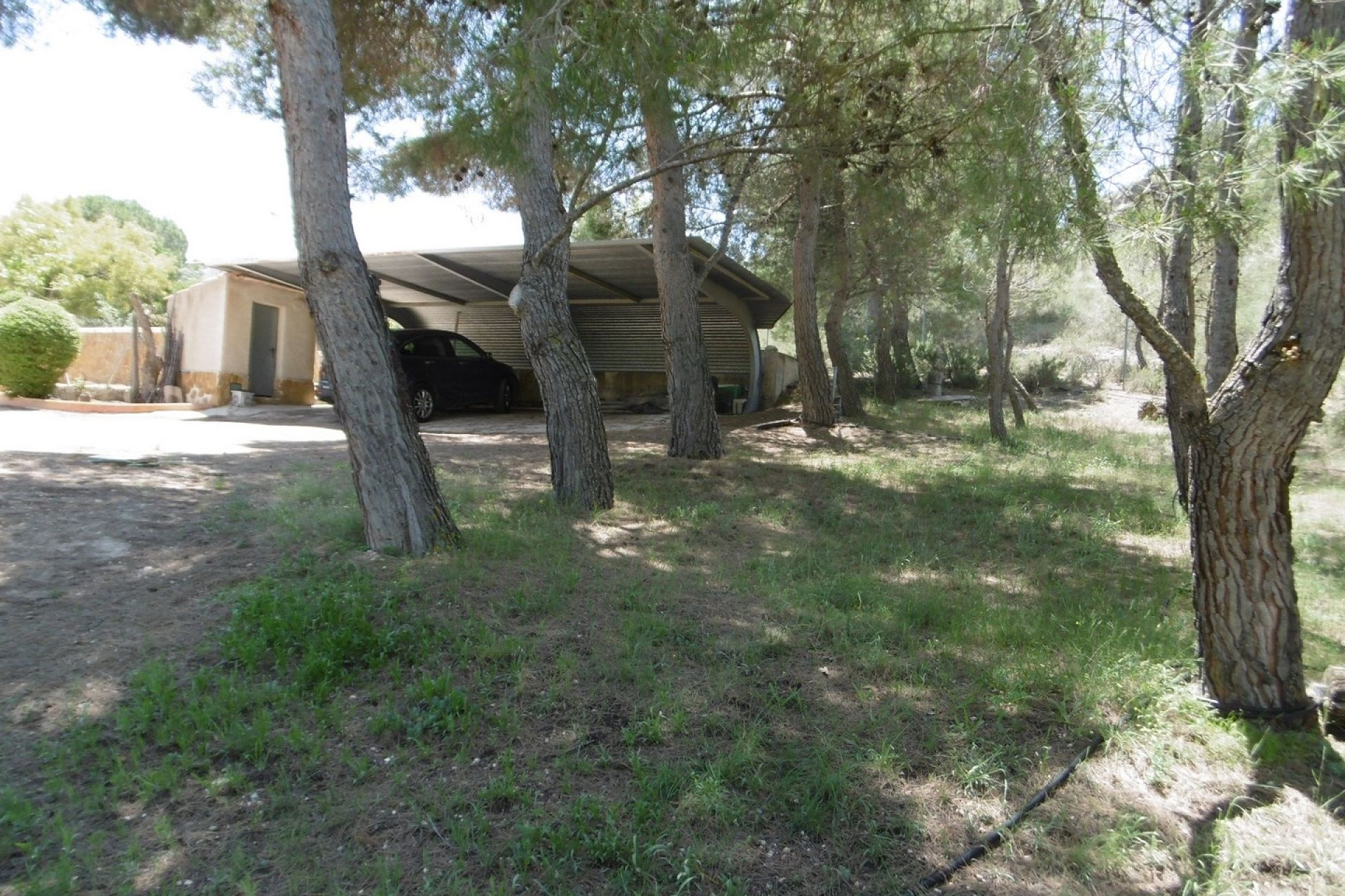 Resale - Villa -
Yecla