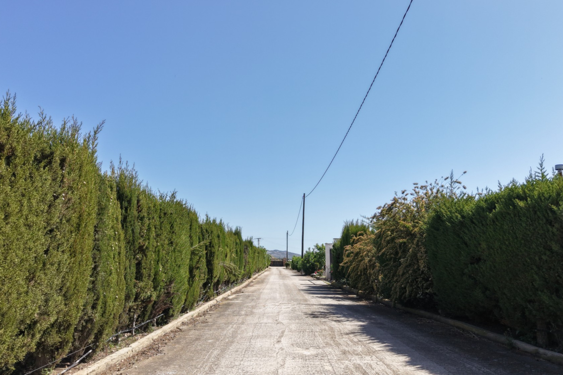 Resale - Villa -
Yecla