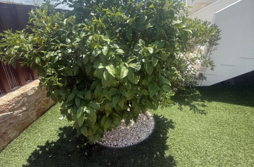 Revente - Appartement -
Entre Naranjos - Vistabella golf Los Montesinos