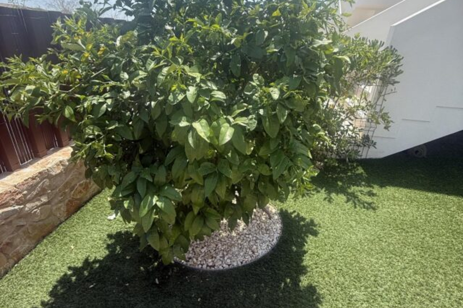 Revente - Appartement -
Entre Naranjos - Vistabella golf Los Montesinos