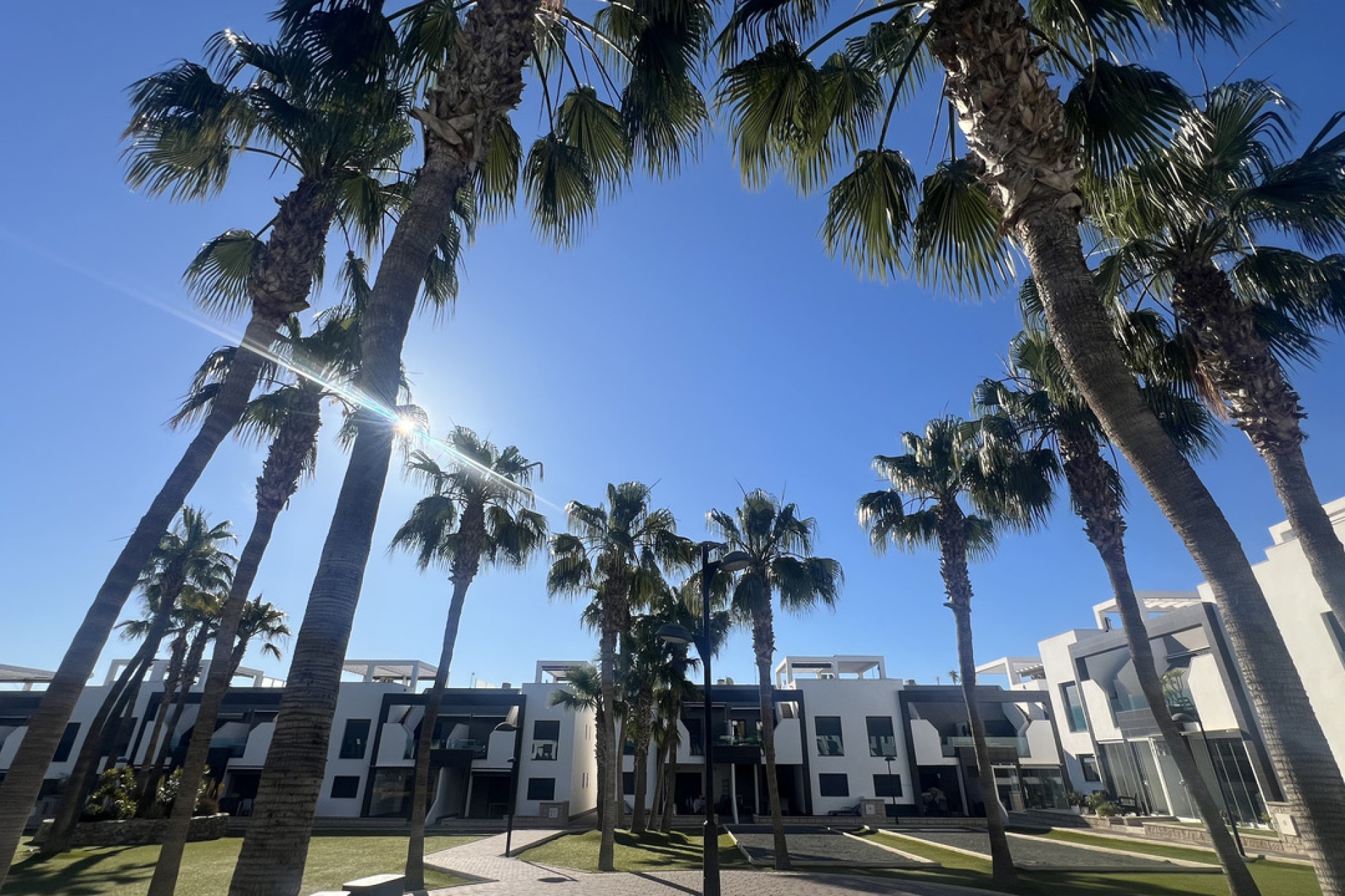 Revente - Appartement -
La Zenia