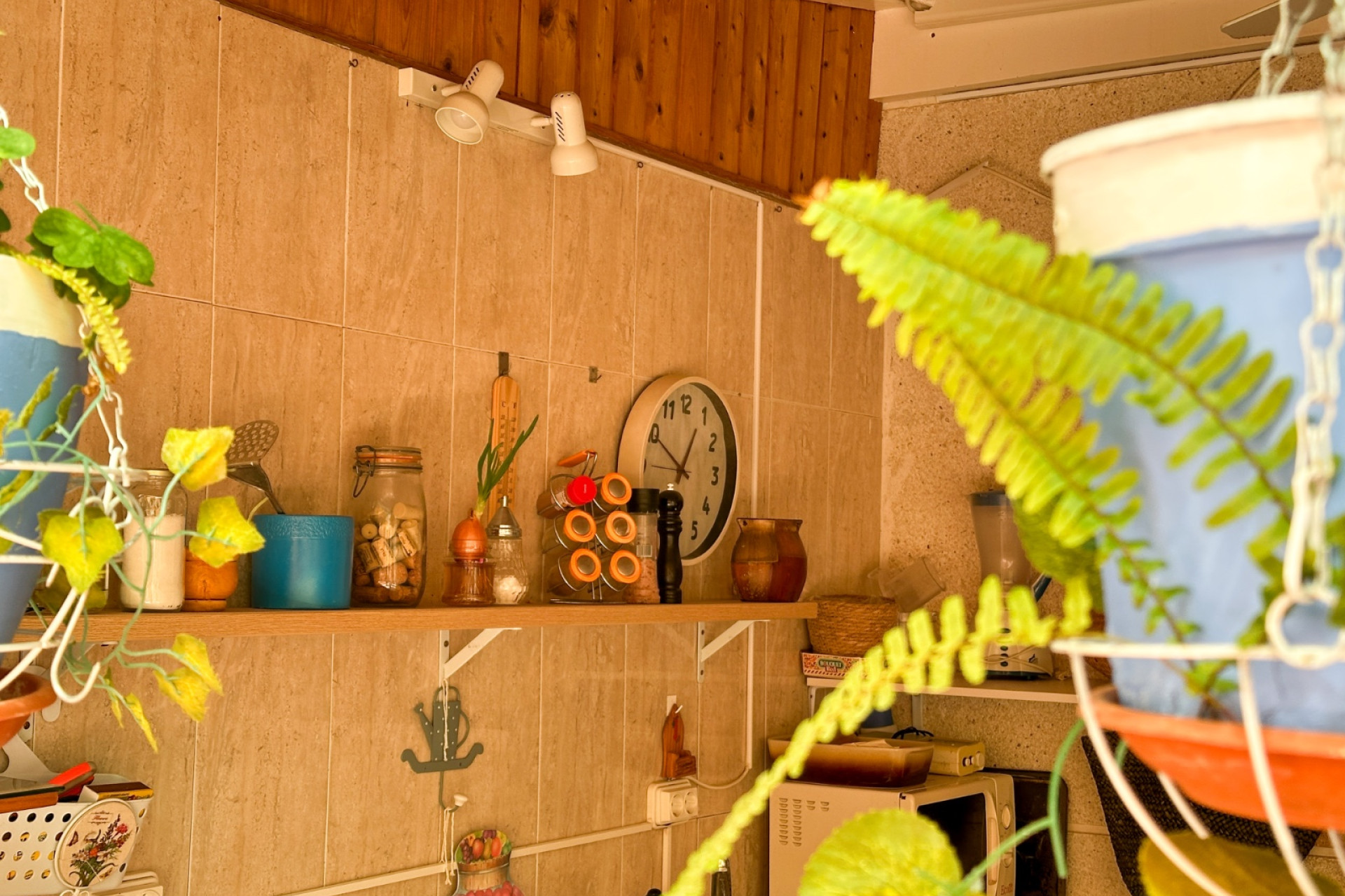 Revente - Appartement -
Torrevieja - Center