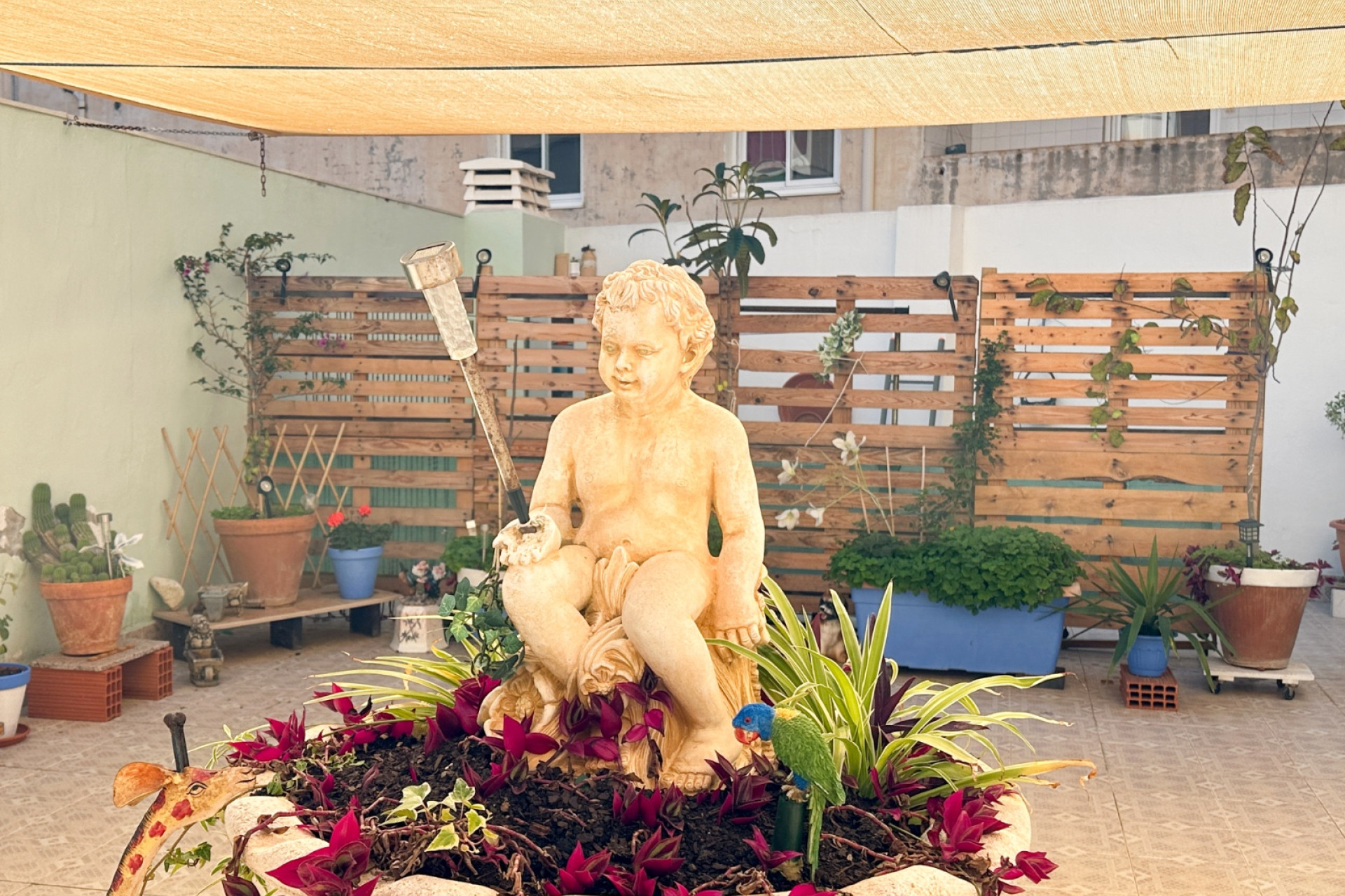 Revente - Appartement -
Torrevieja - Center