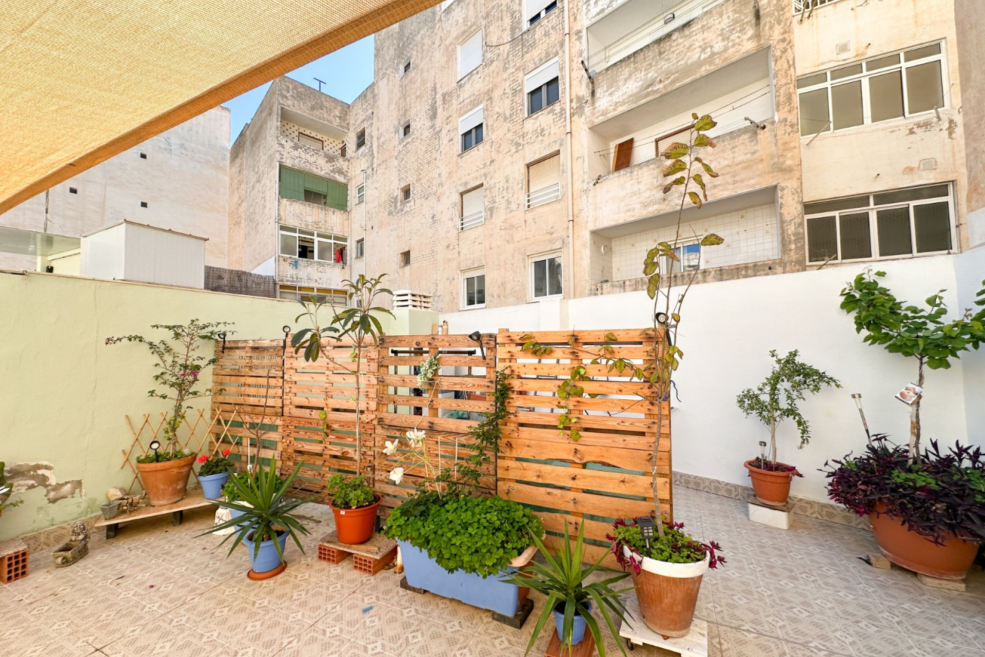 Revente - Appartement -
Torrevieja - Costa Blanca